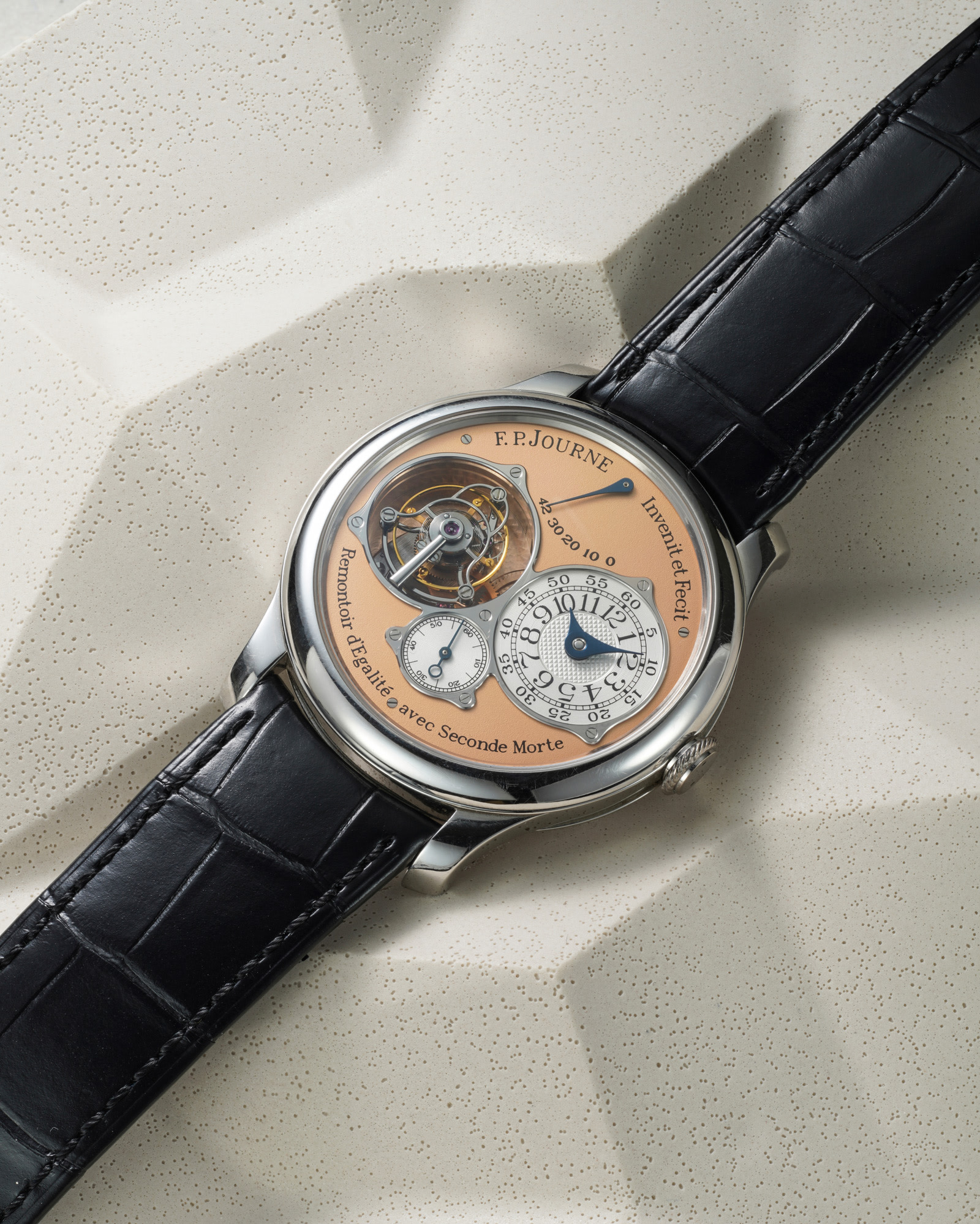<p>&shy;&shy;<strong>F.P. JOURNE</strong>, Tourbillon Souverain Ref. 040-04TN</p>
