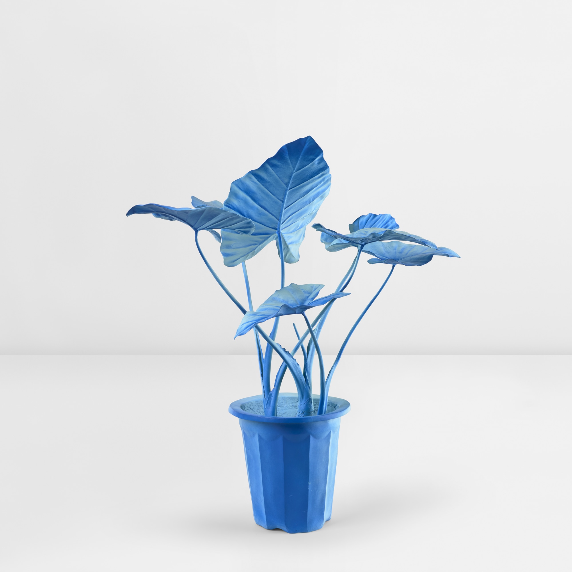 <p><strong>DANIEL ARSHAM</strong>&nbsp;<em>Coconut Grove Plant,</em>&nbsp;2019</p>
