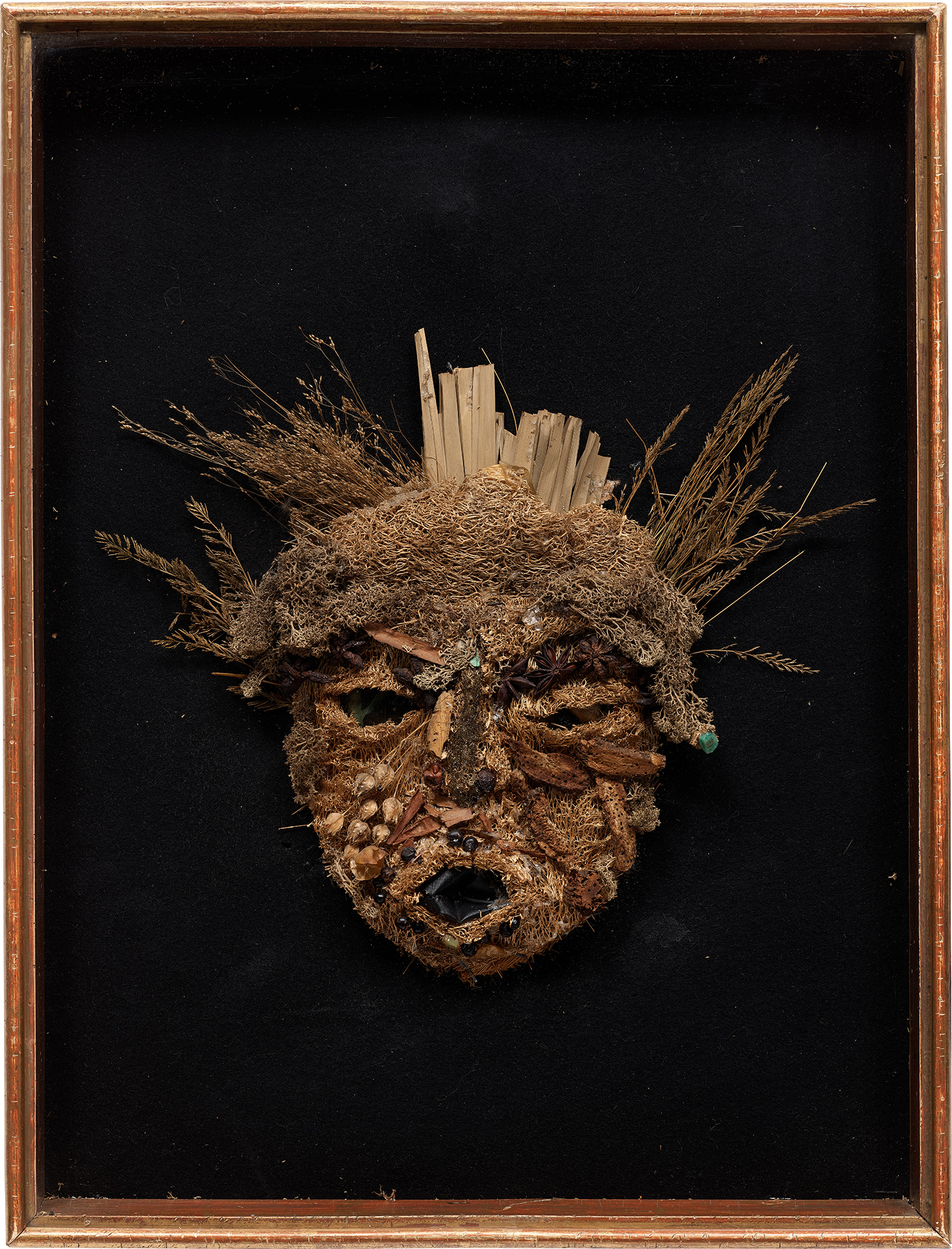 Leonor Fini, Masque végétal