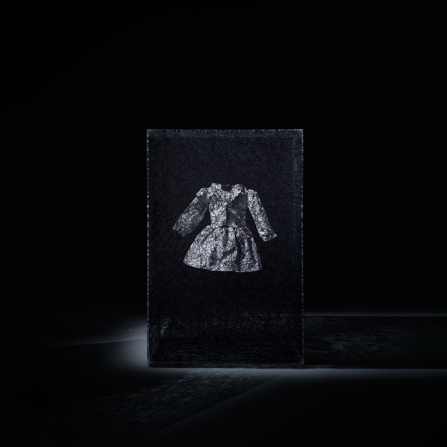 Hansa シマウマ Portraits of Nature art 26009 Shinya Masuda: HOJO ZANMAI - Artemis Art