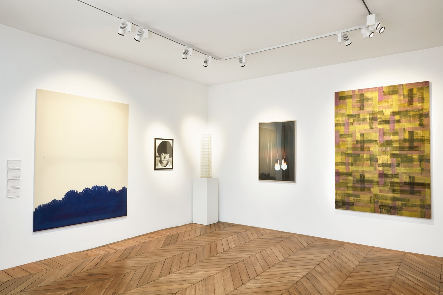 <p>Works by Latifa Echakhch, Christer Strömholm, Carsten Höller, Georges Tony Stoll and Helmut Federle</p>