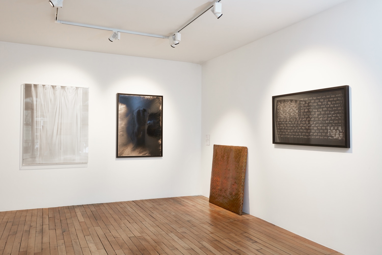 <p>Works by Claudio Parmiggiani, Loris Gréaud, Guillaume Leblon, and Mircea Cantor</p>