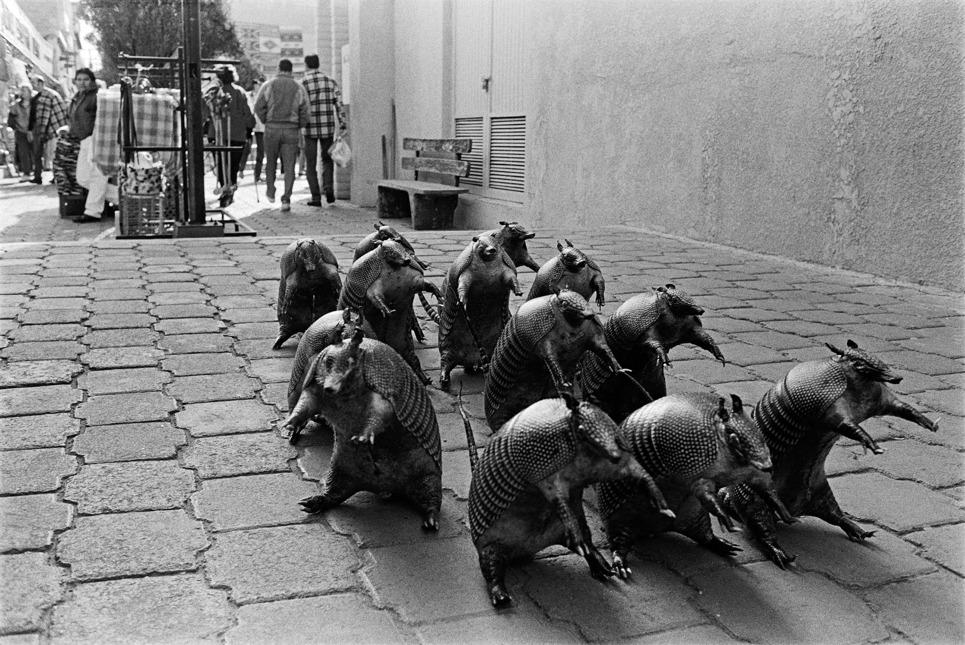 Brought to you by Phillips