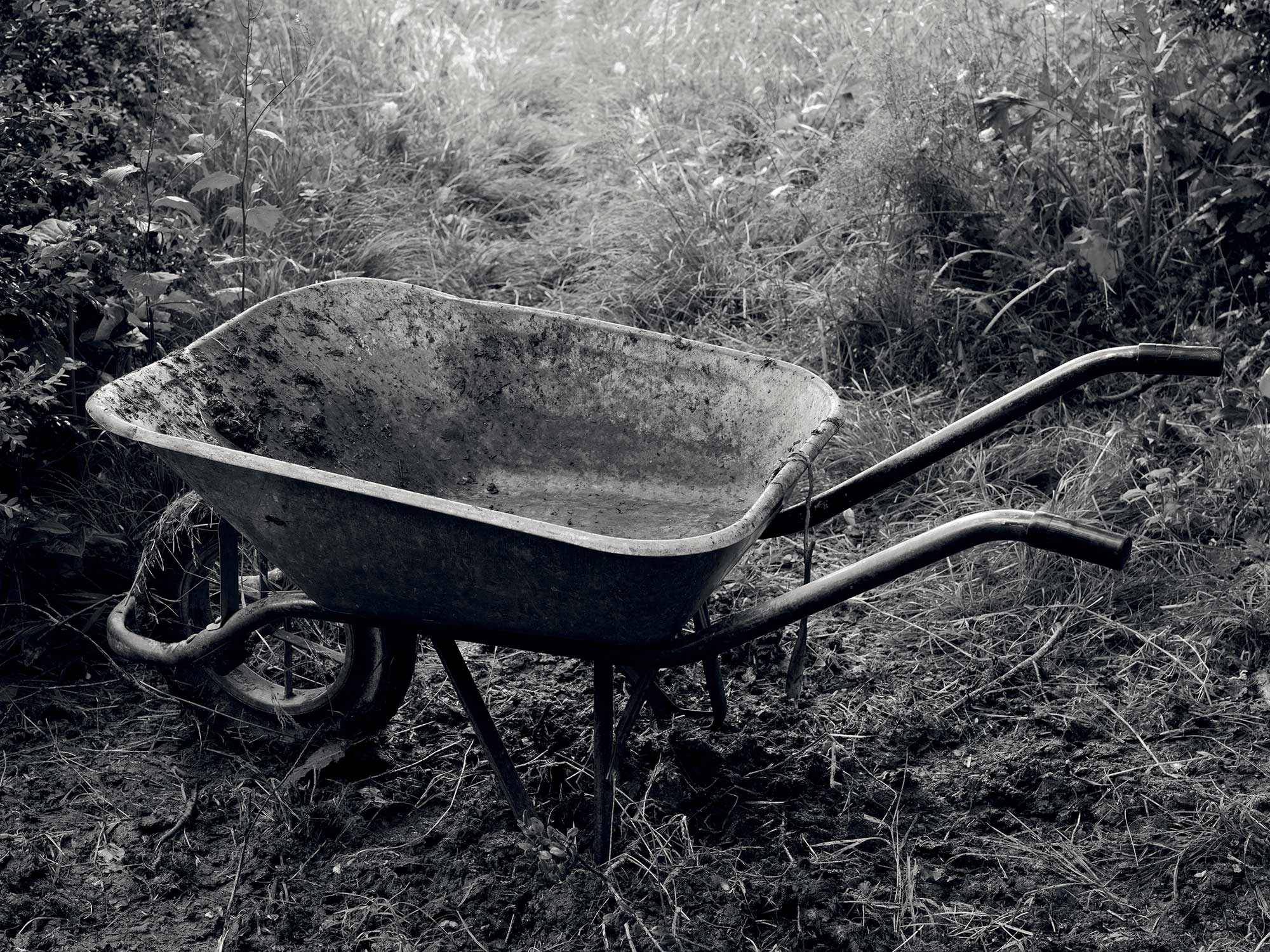 <b>DENIS PIEL </b><i>Down To Earth No.148</i>, 2013