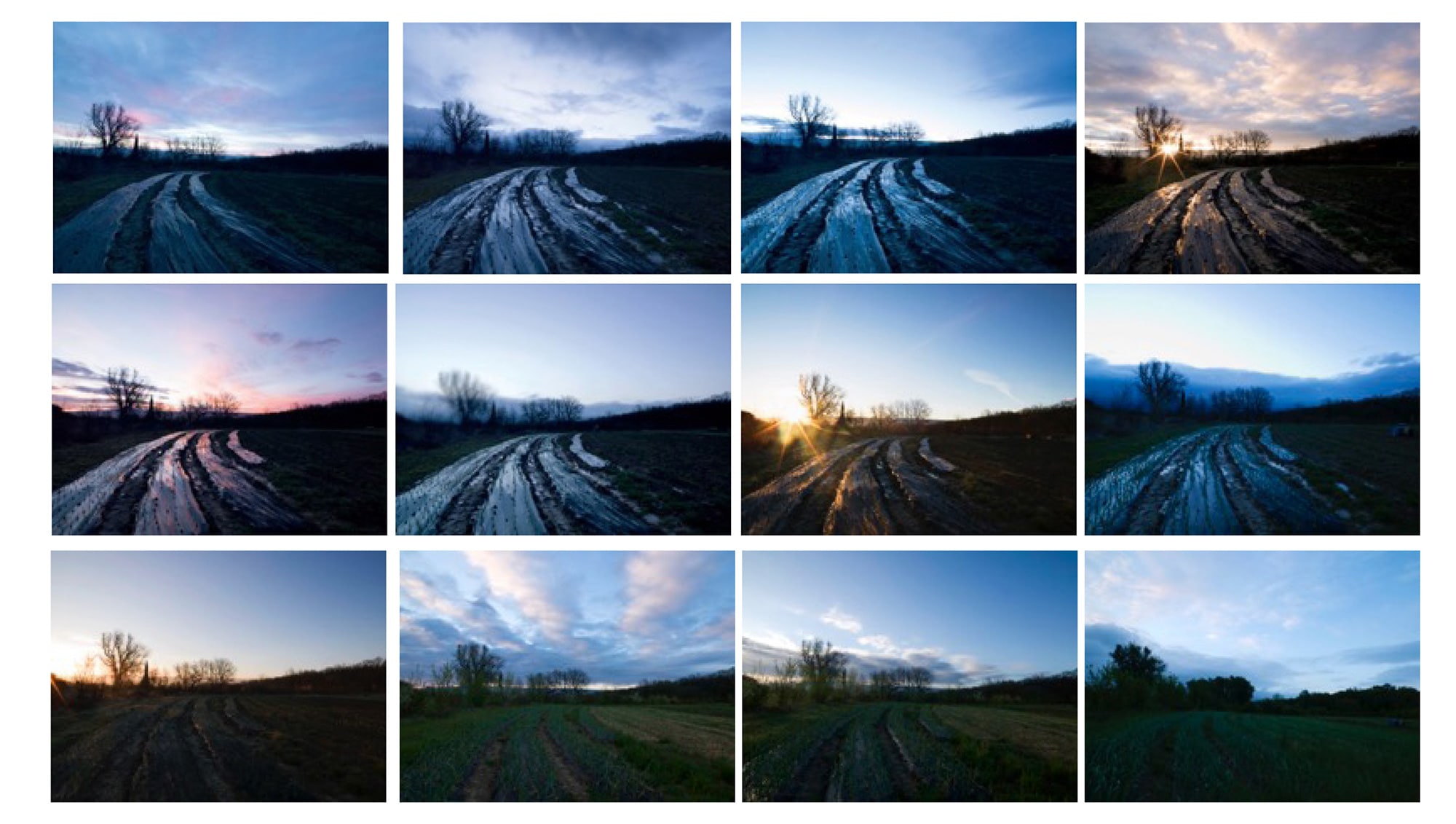 <b>DENIS PIEL</b> <i>Down To Earth Growth @ Sunrise 1-12</i>, 2014