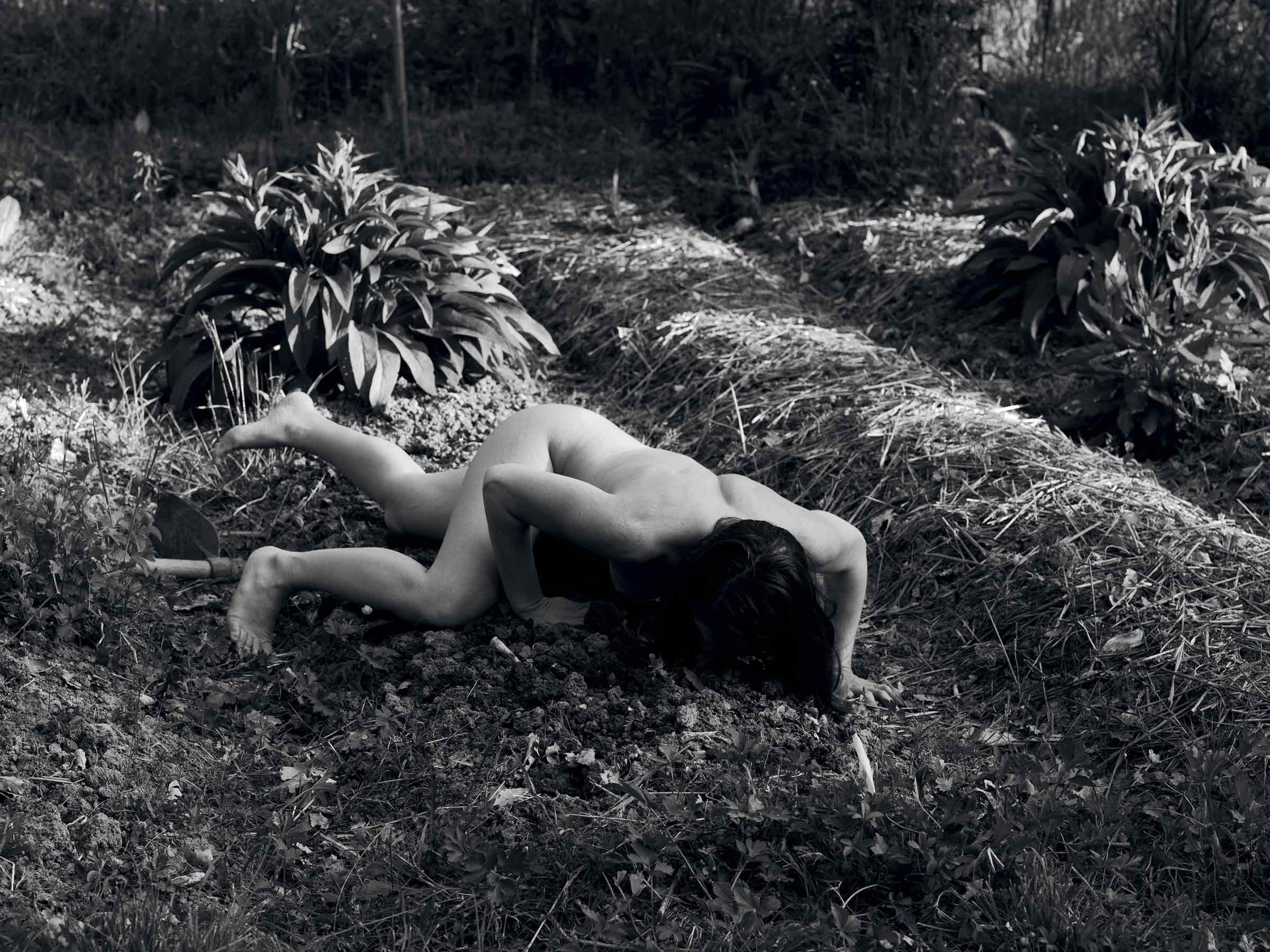 <b>DENIS PIEL </b><i>Down to Earth No. 48</i>, 2014