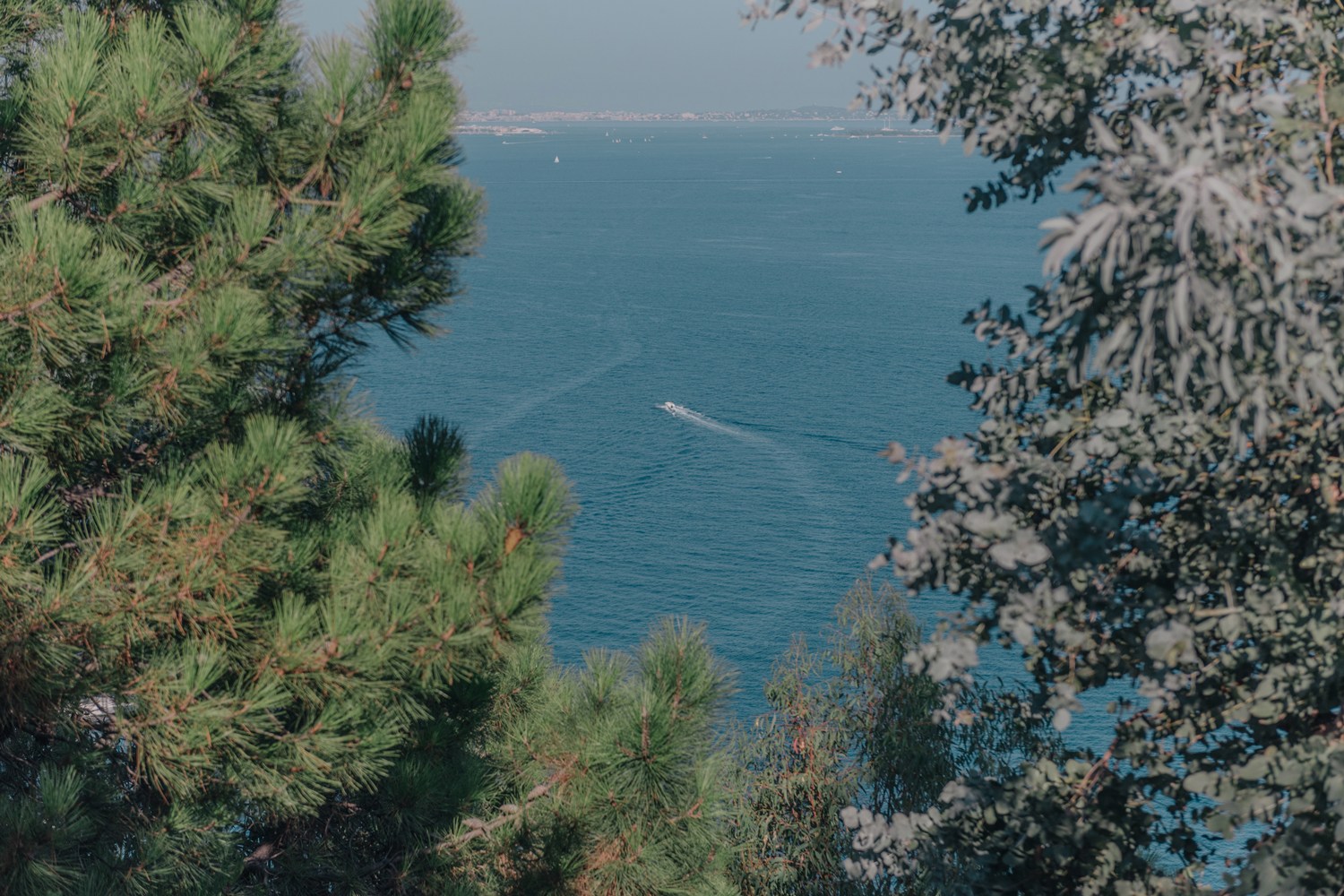 <p>Théoule-sur-Mer, France</p>