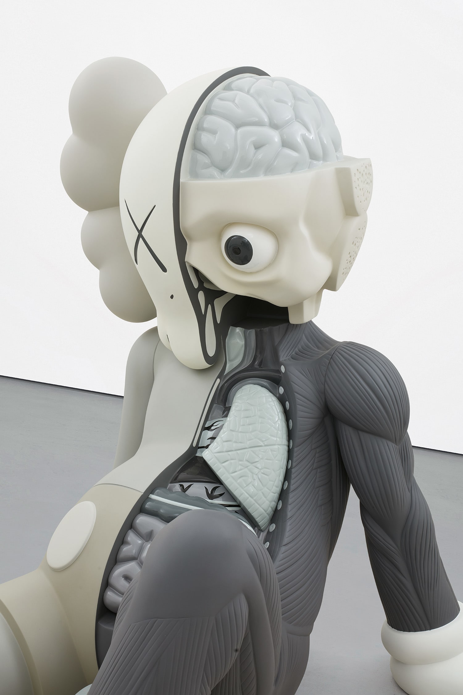その他 KAWS COMPANION RESTING PLACE Kaws | RESTING PLACE (BROWN) - Dope! Gallery