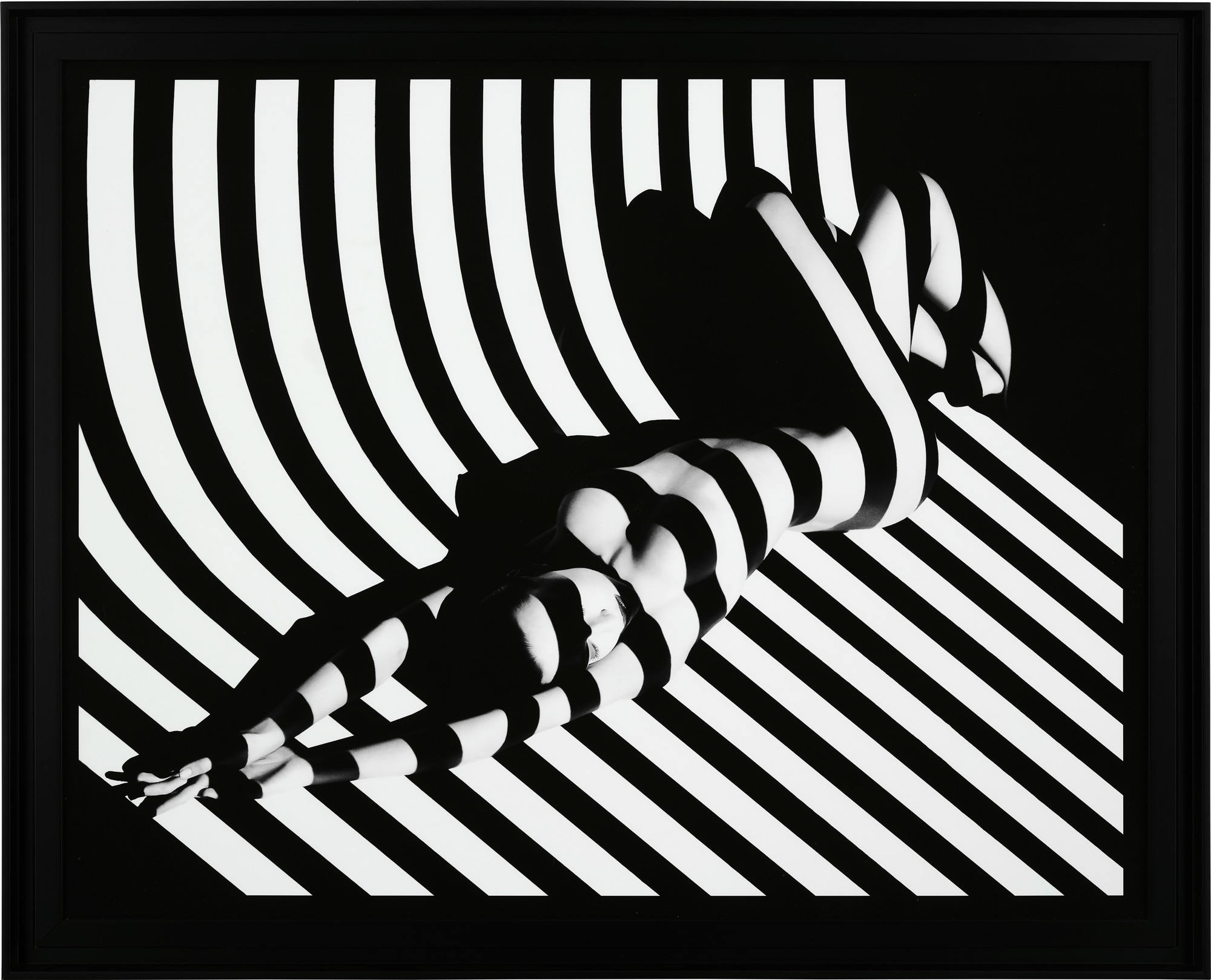 <p><strong>FRANCIS GIACOBETTI</strong> <em>Zebra #17,</em> 1988</p>
