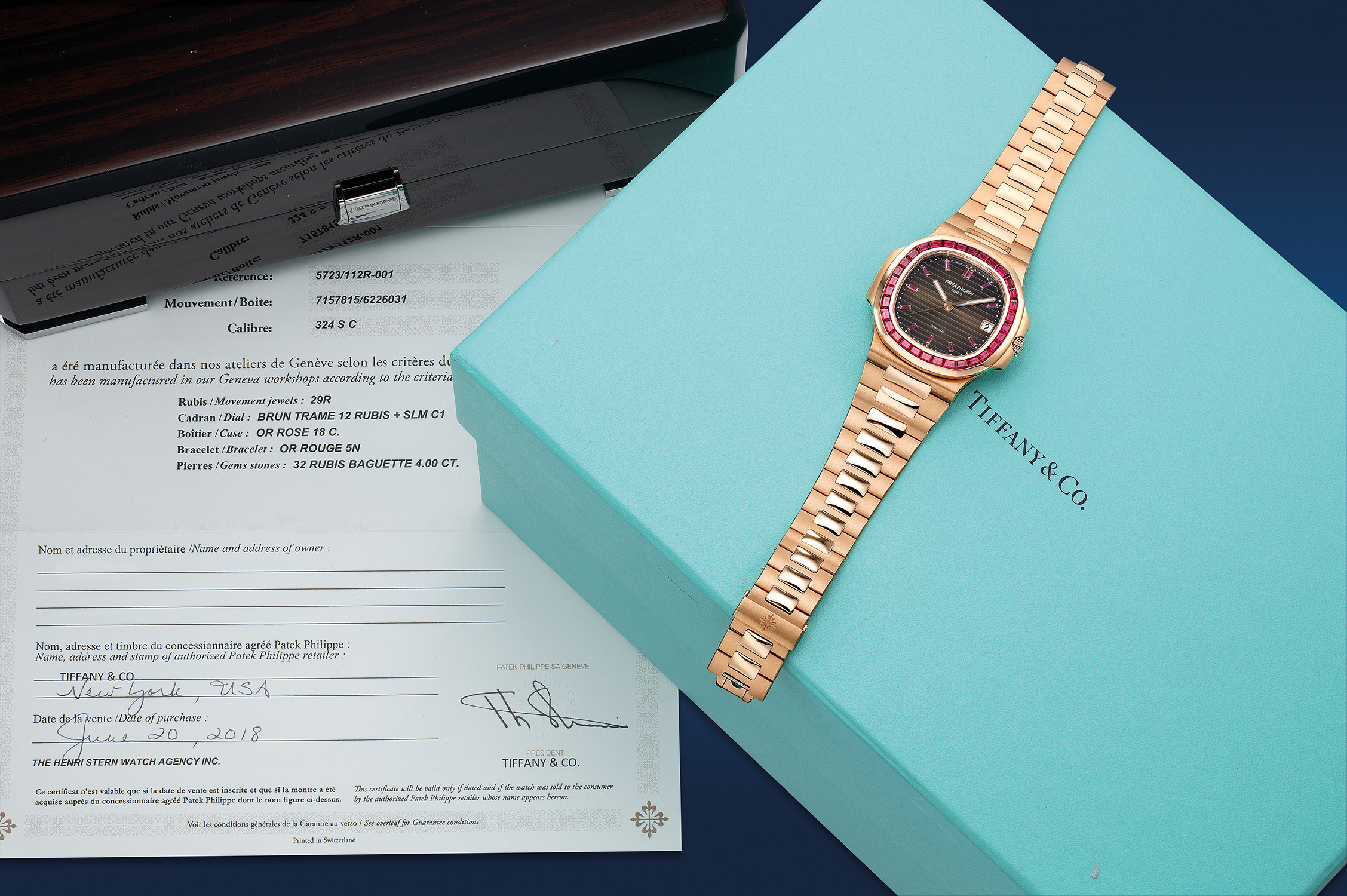 Patek Philippe Genève 2010-2011 コレクション本 PATEK PHILIPPE Genève Collection 2009-2010 Collectable Table