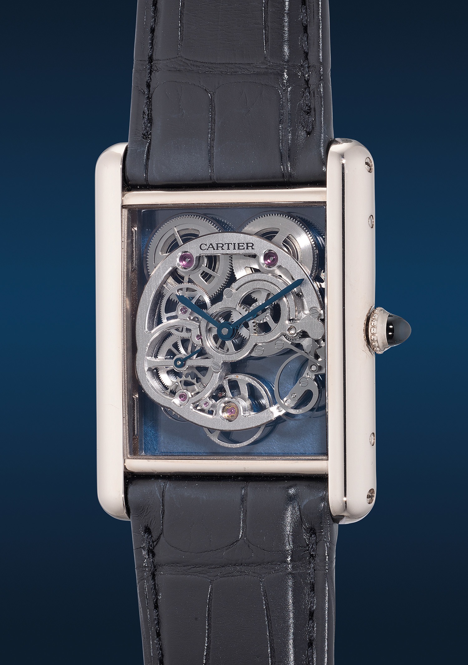 洋書 CARTIER Century of Cartier Wristwatches Cartier: A Century Of Cartier Wristwatches