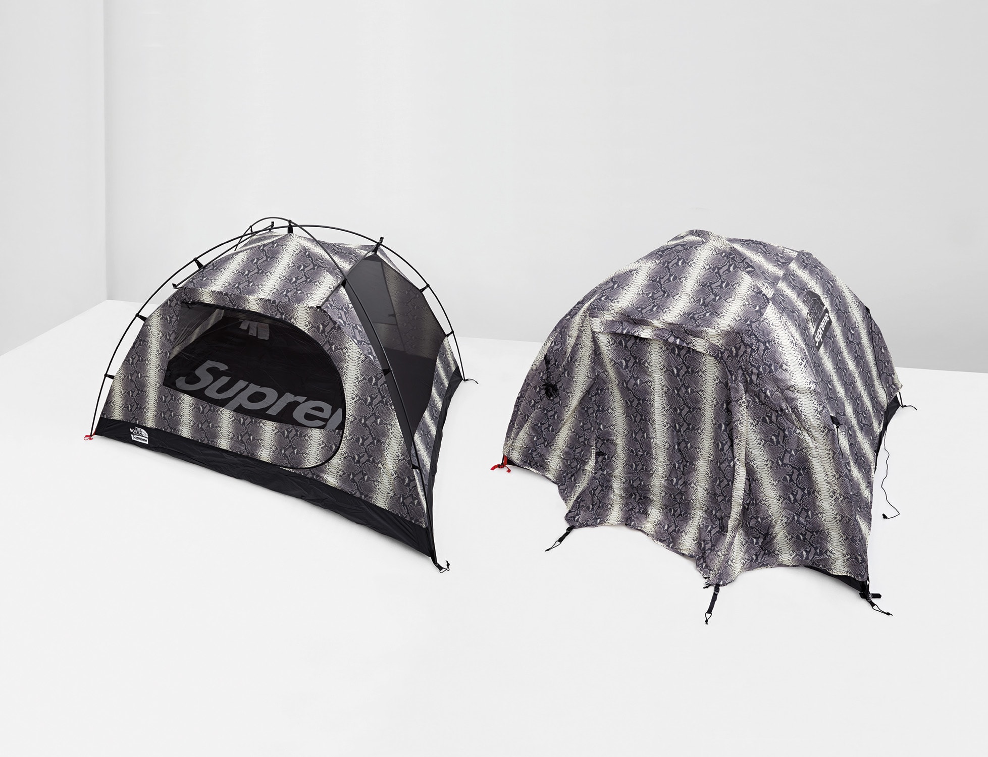 Supreme - emi supreme sneak skin tent greee Supreme The North Face Snakeskin Taped Seam Stormbreak 3