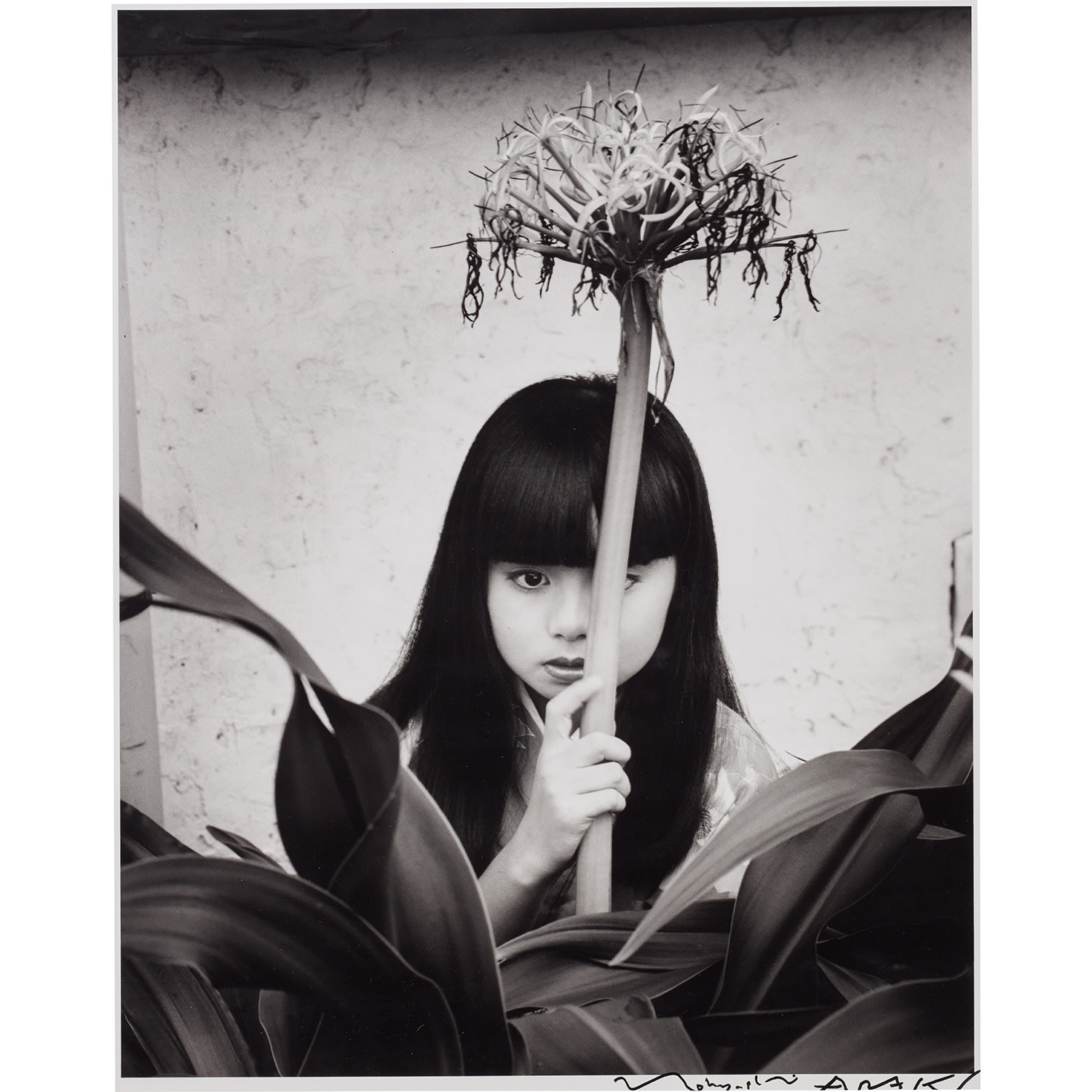 台北 荒木経惟 写真集 Taipei Nobuyoshi Araki 台北 荒木経惟写真集(荒木経惟 Nobuyoshi ARAKI 第1回太陽賞受賞