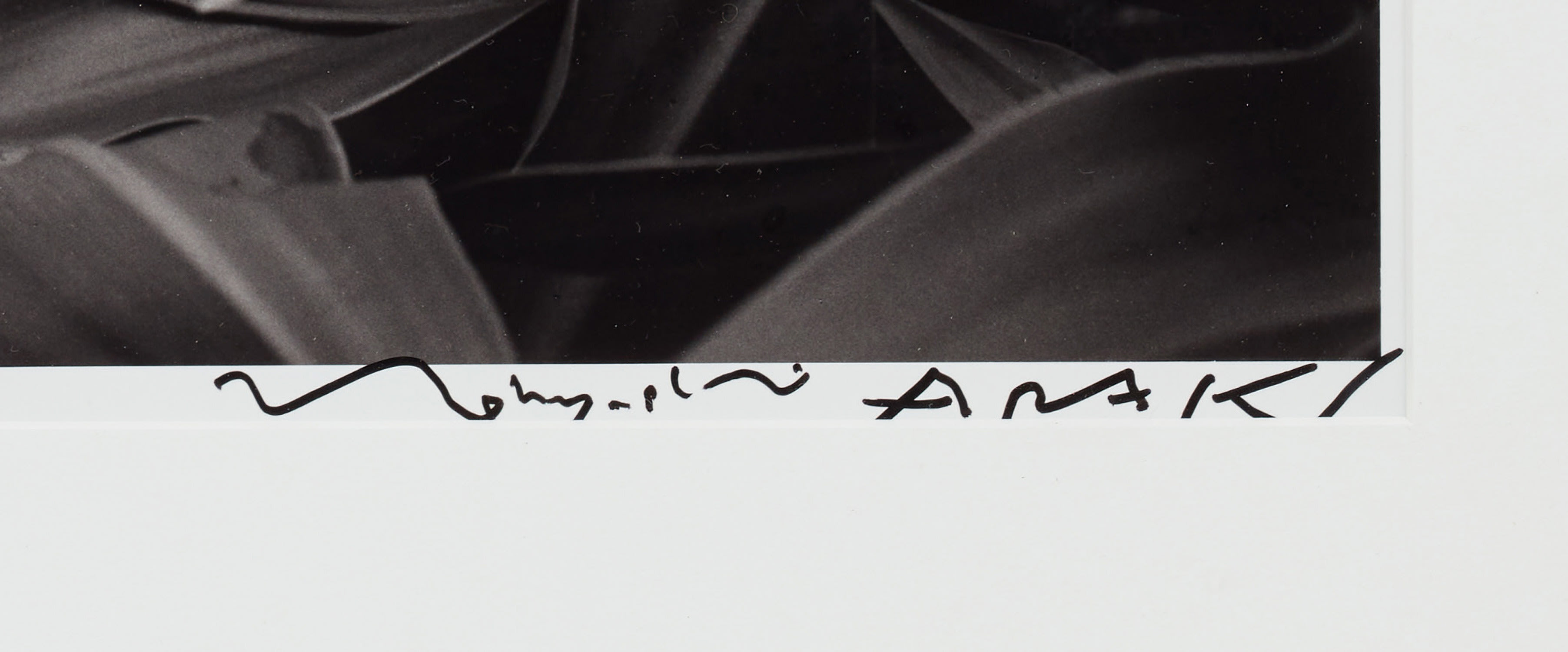 CONP x 荒木經惟 Nobuyosh Araki 花柄 四角い皿 CONP x 荒木經惟 Nobuyosh Araki 花柄 四角い皿