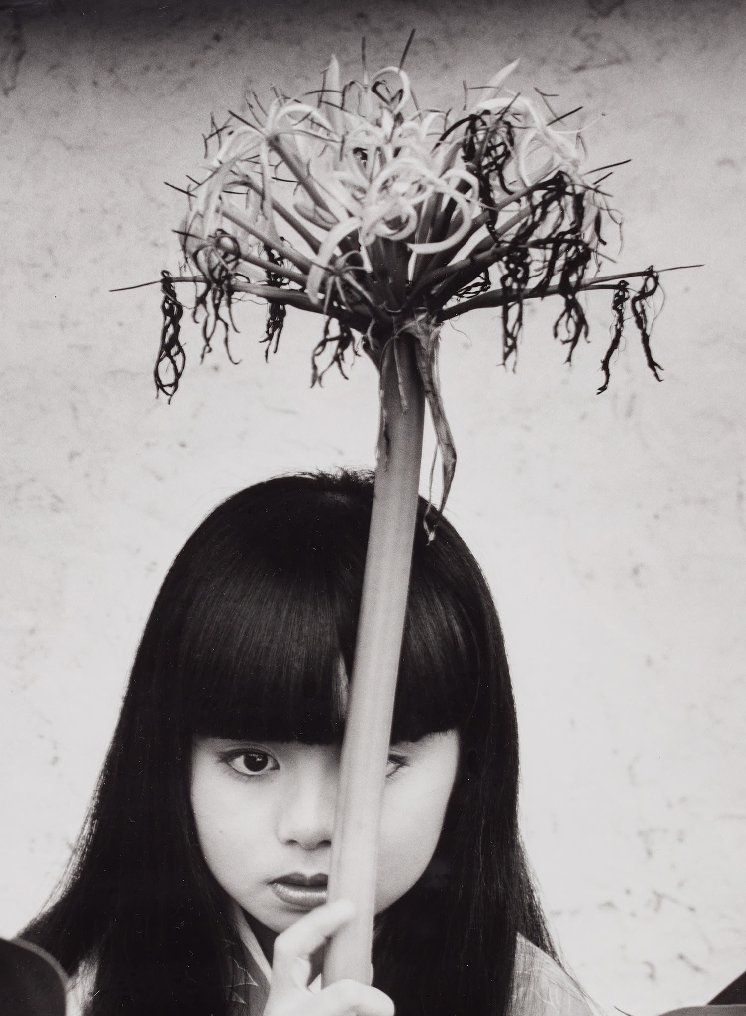 荒木経惟 Nobuyoshi Araki Intersect: Online Auction