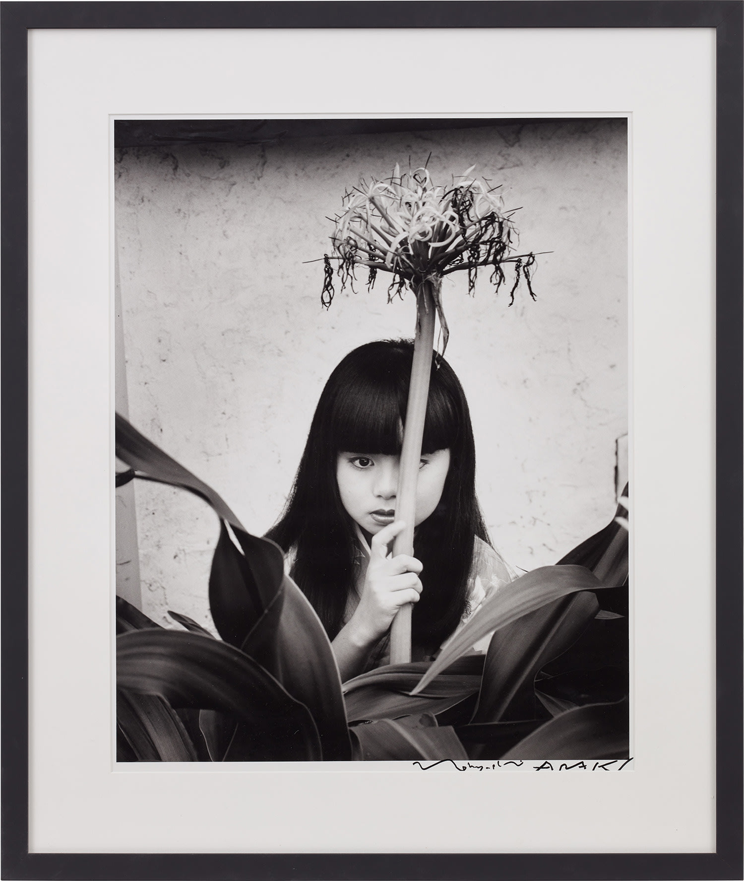 荒木経惟 Nobuyoshi Araki Intersect: Online Auction