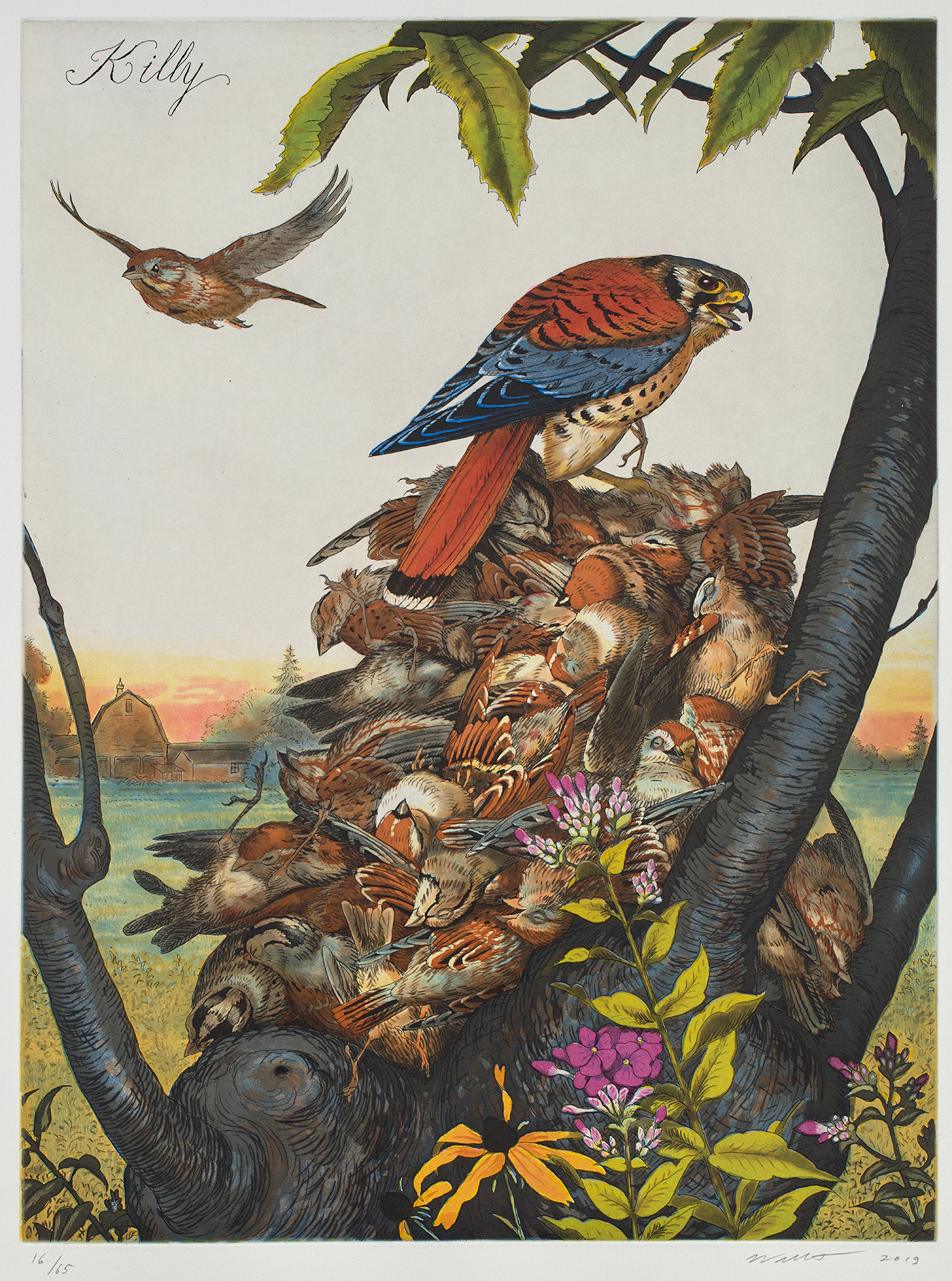 Brought to you by Phillips