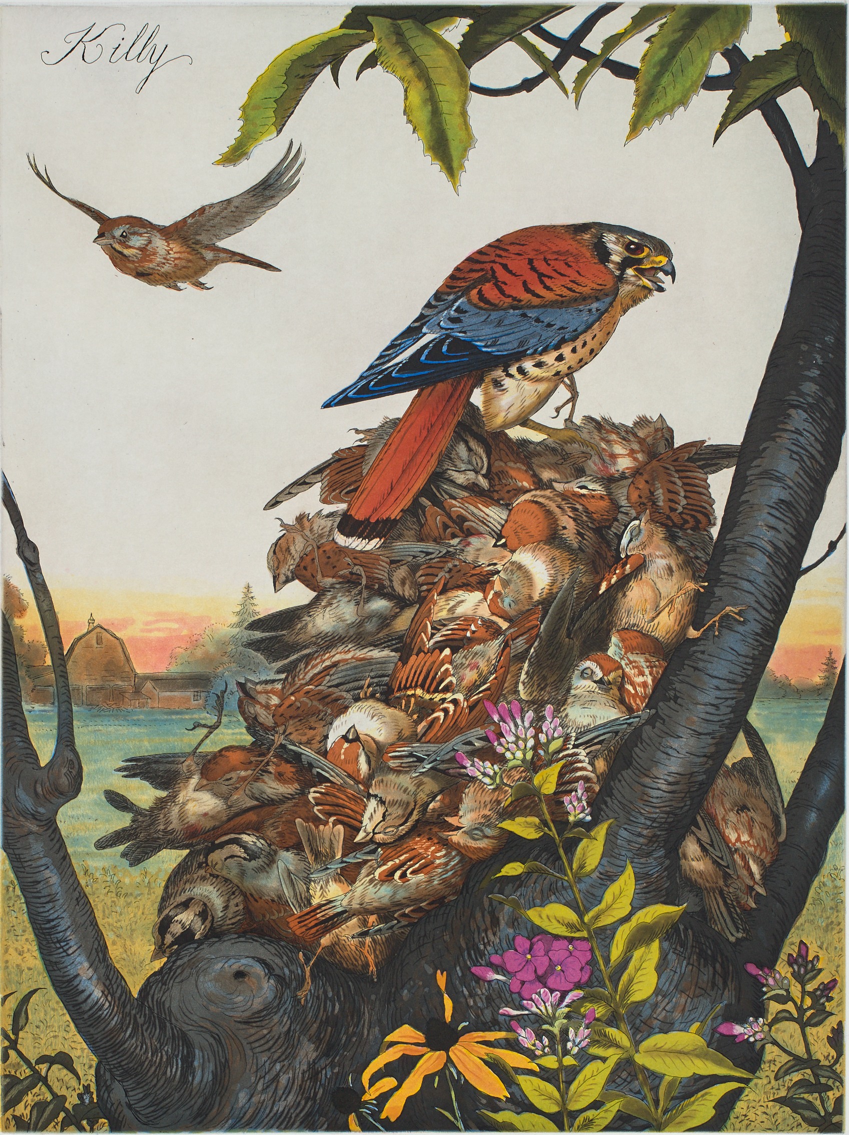 <p><strong>WALTON FORD</strong><em> Killy</em>, 2019 this work is number 16 from an edition of 65 plus 2 artist&#39;s proofs</p>
