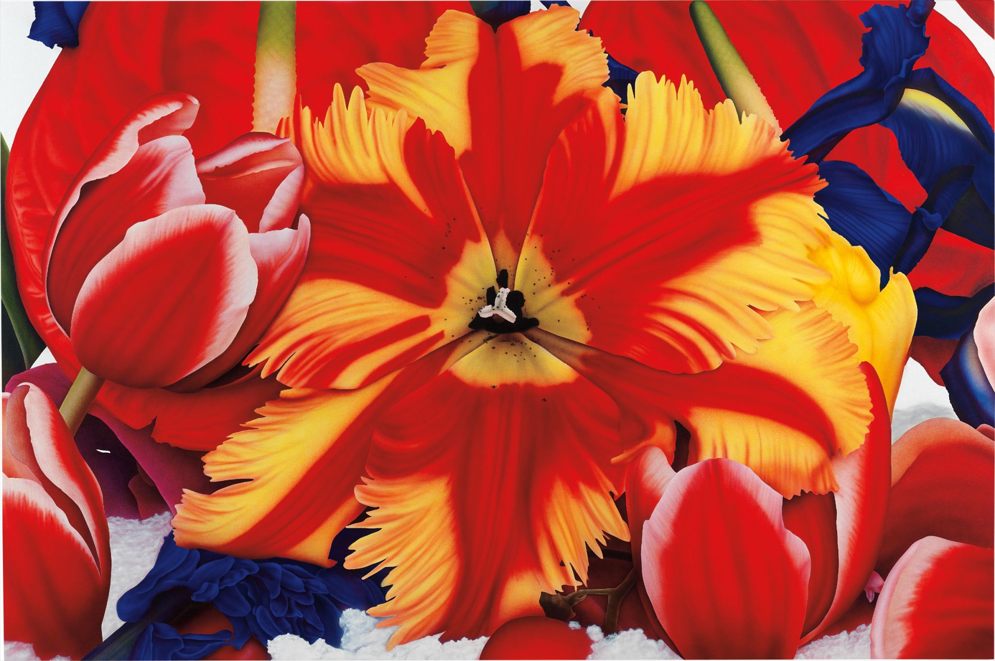 Brought to you by Phillips