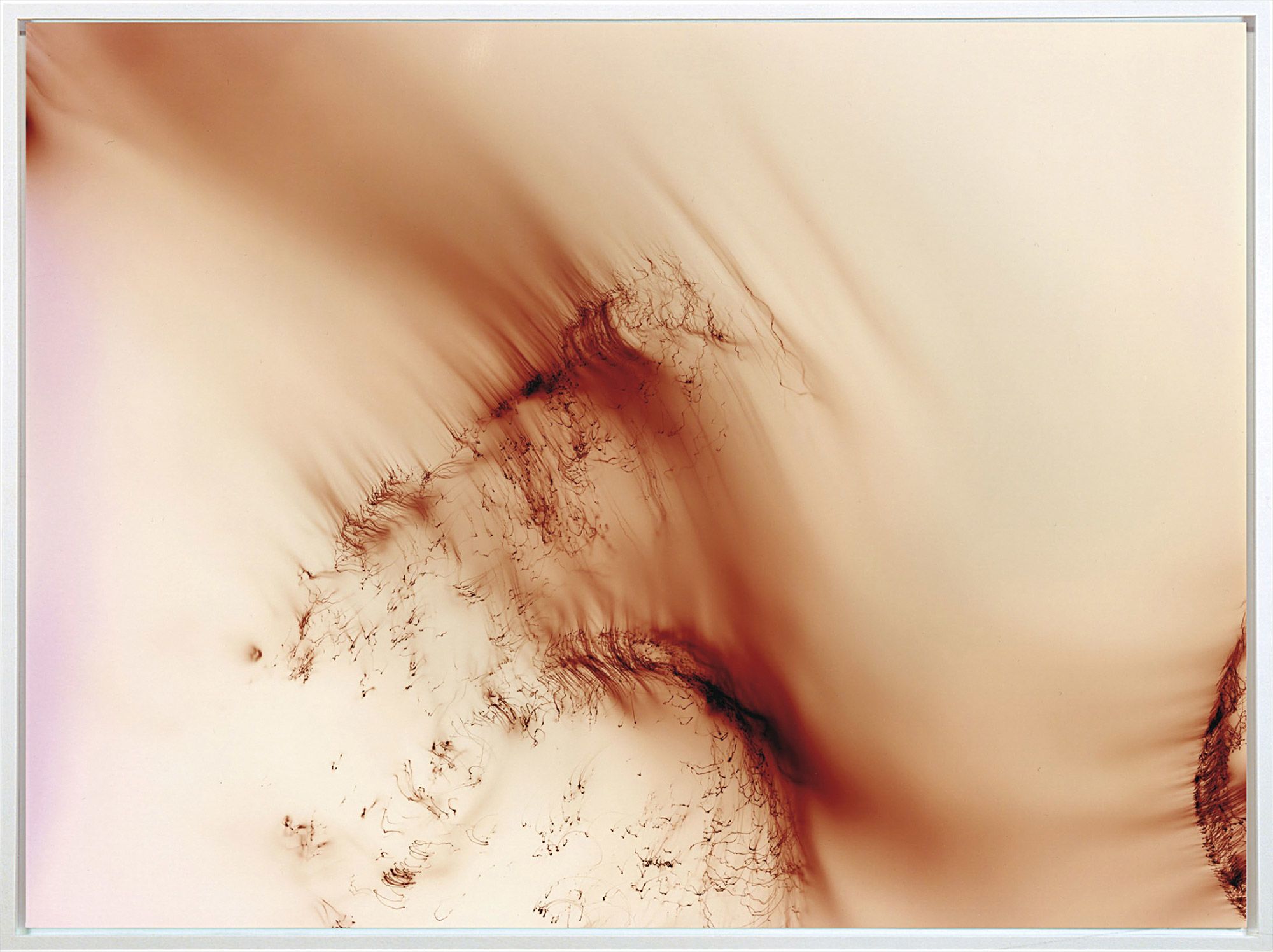 <b>WOLFGANG TILLMANNS</b> <i>Freischwimmer 120</i>, 2006