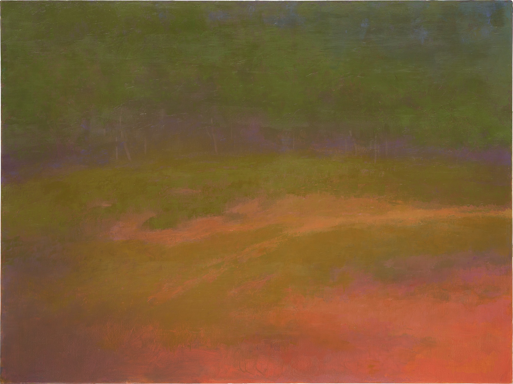 <p><strong>RICHARD MAYHEW</strong> <em>Back Country,</em> 2004</p>