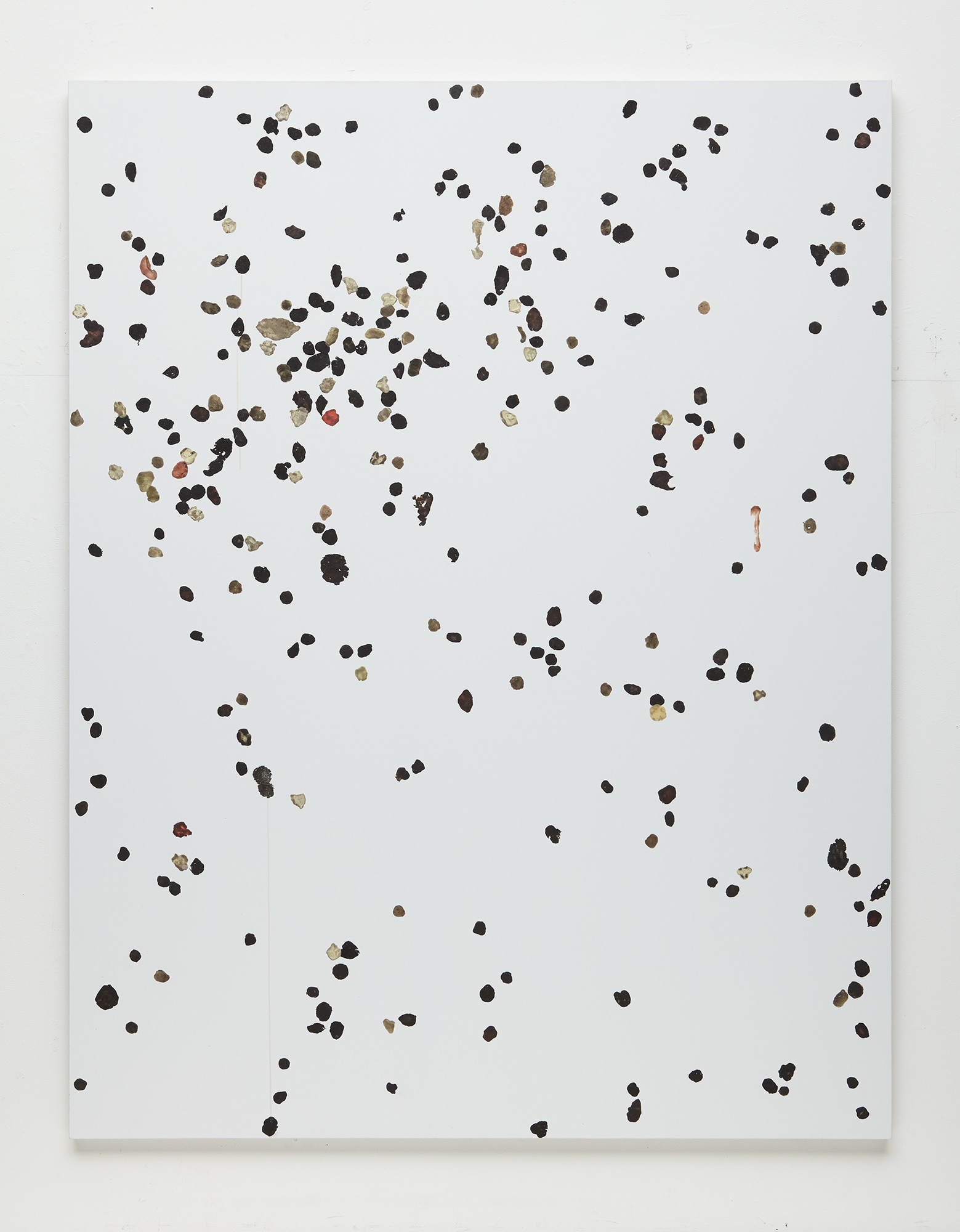 <b>ADAM MCEWEN</b> <i> Kassel</i>, 2006