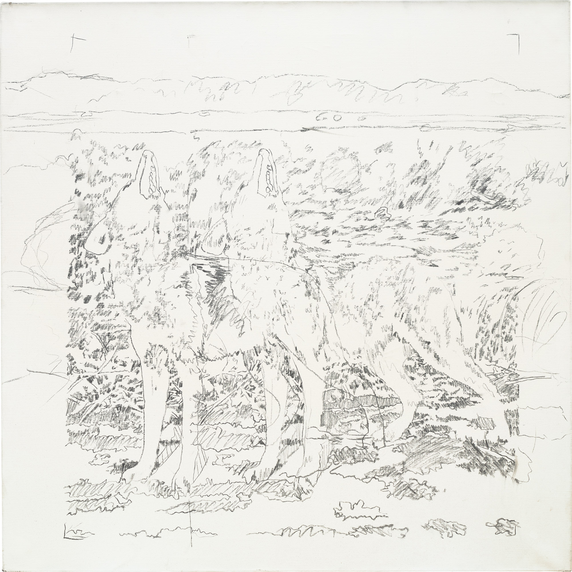 <p><strong>GERHARD RICHTER </strong><em>Hyänen</em>, 1968 </p>