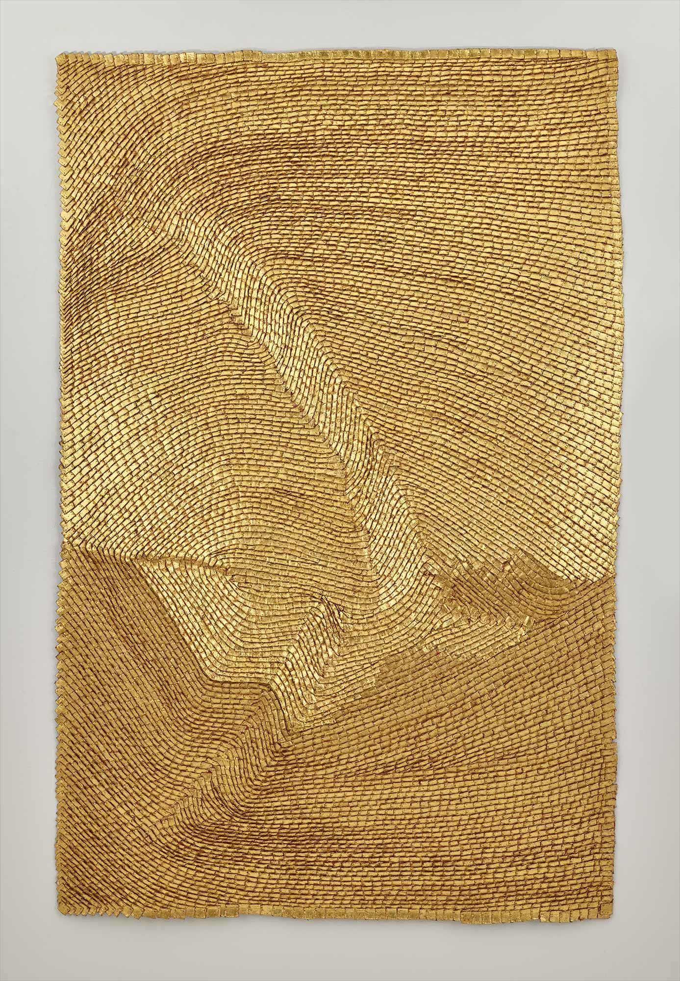 <b>OLGA DE AMARAL</b> <i>Umbra 53</i>, 2007