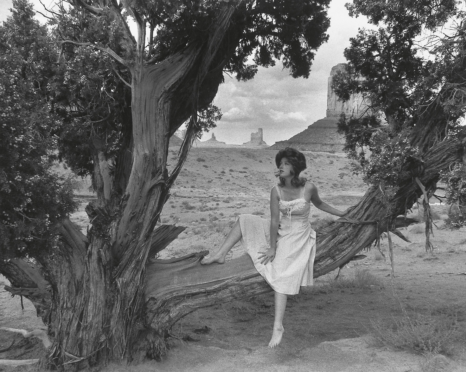 Cindy Sherman 20th C. & Contemporary Art Day Sale, Afternoon