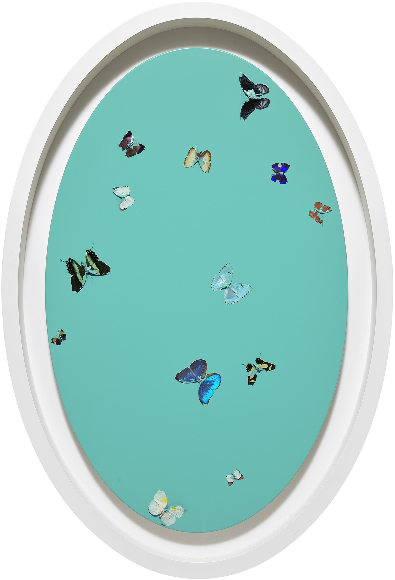 <p><strong>DAMIEN HIRST</strong> <em>Sexy Love, </em>2007</p>
