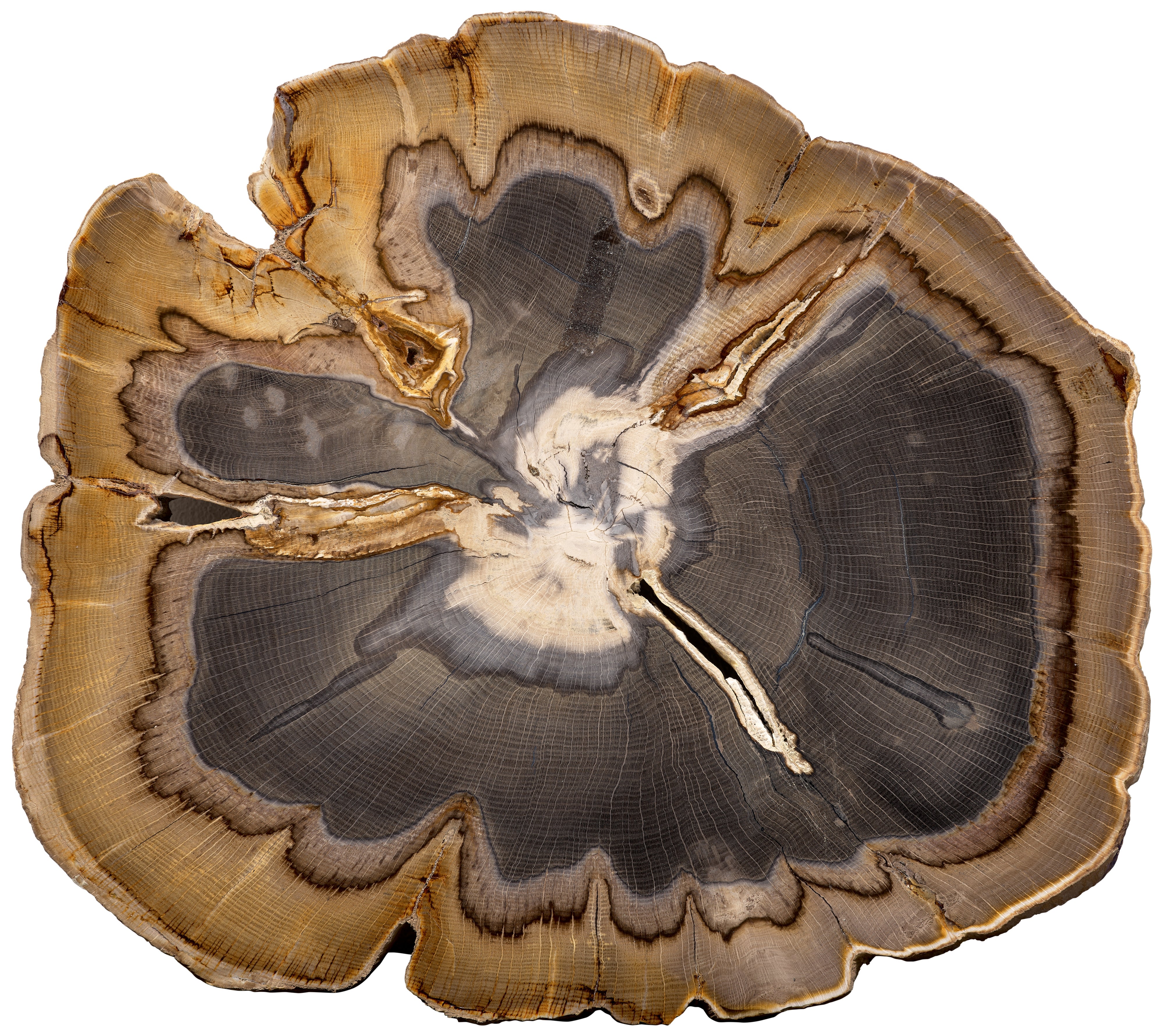 Brought to you by Phillips