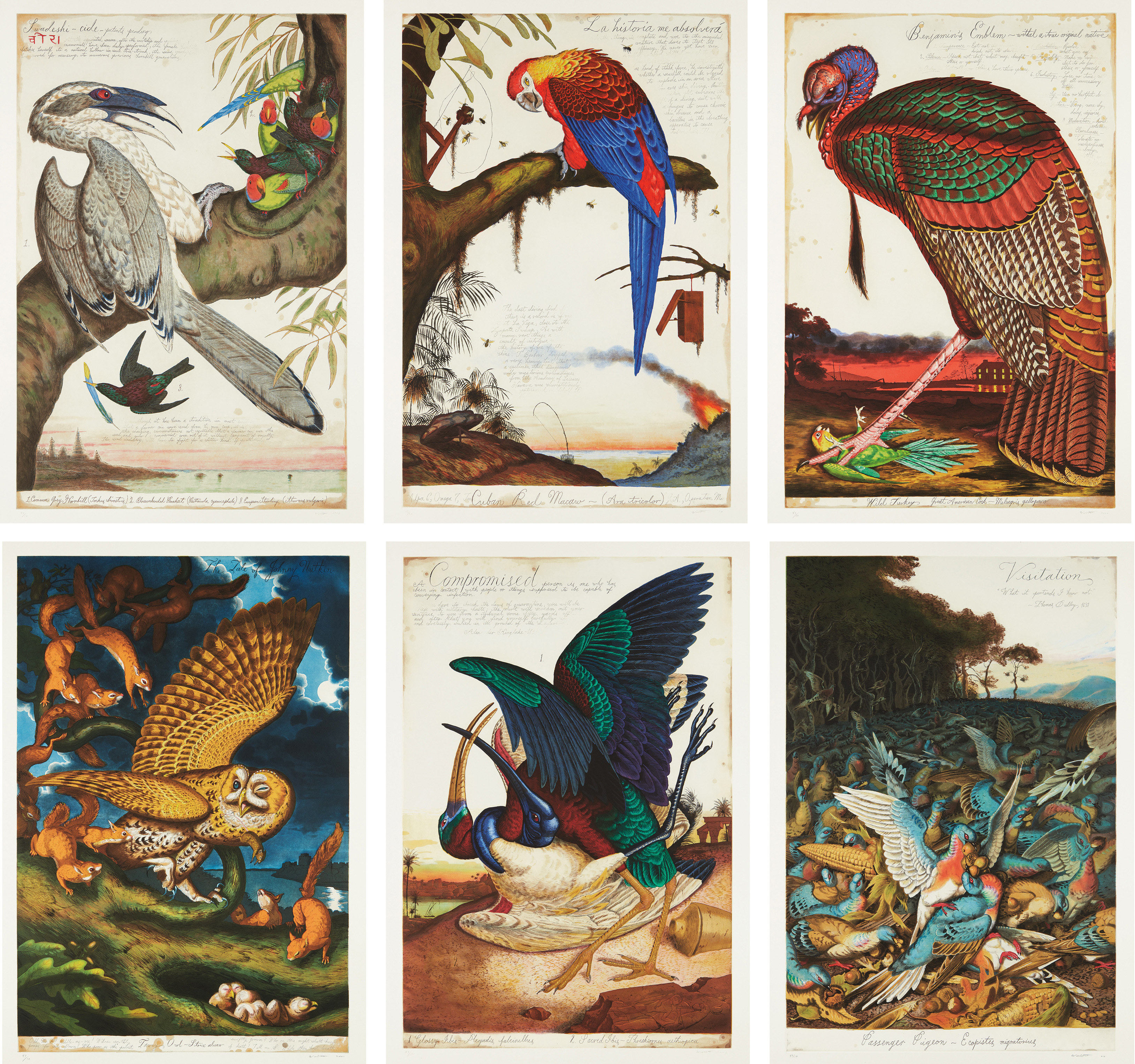 Brought to you by Phillips