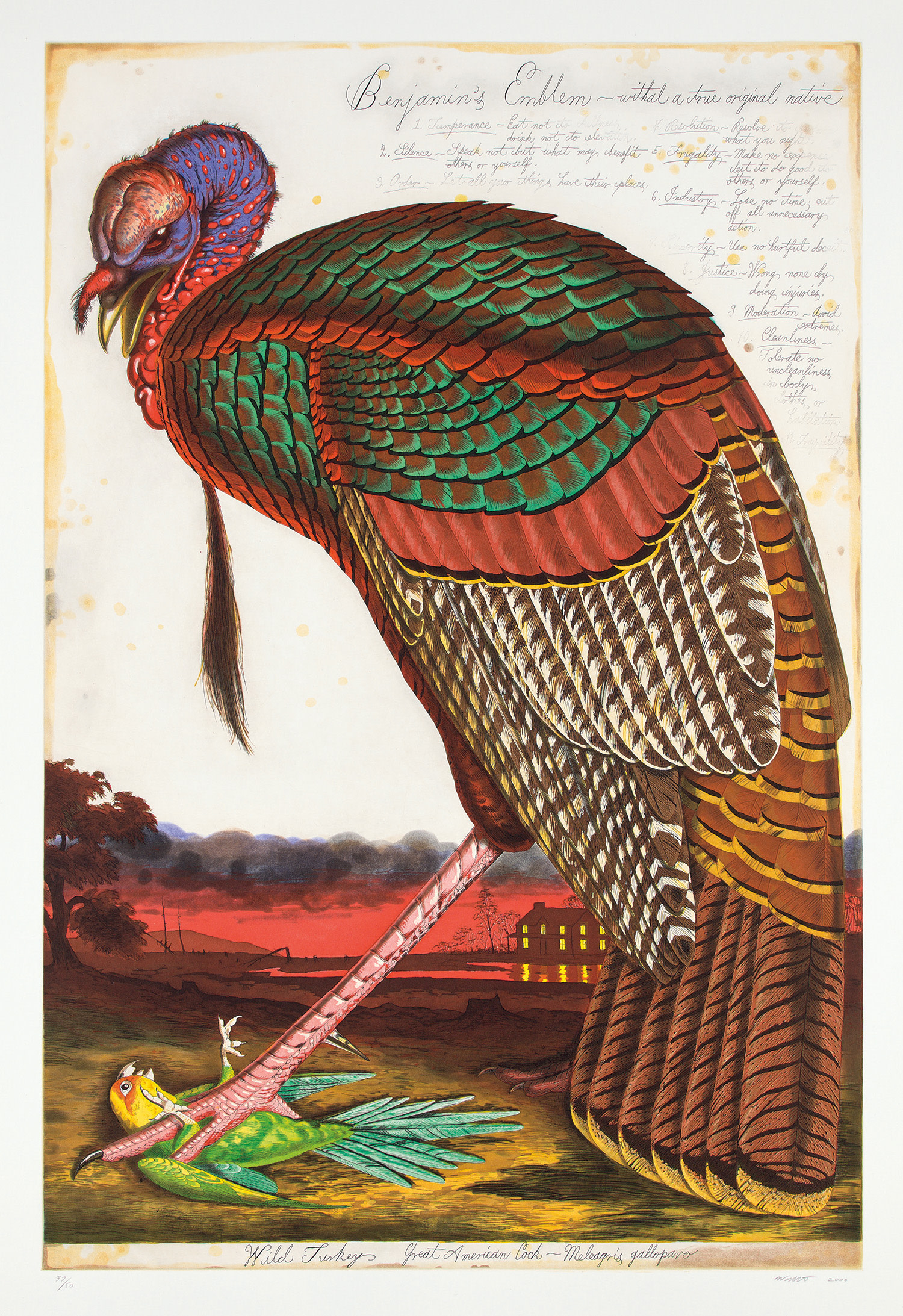 Brought to you by Phillips