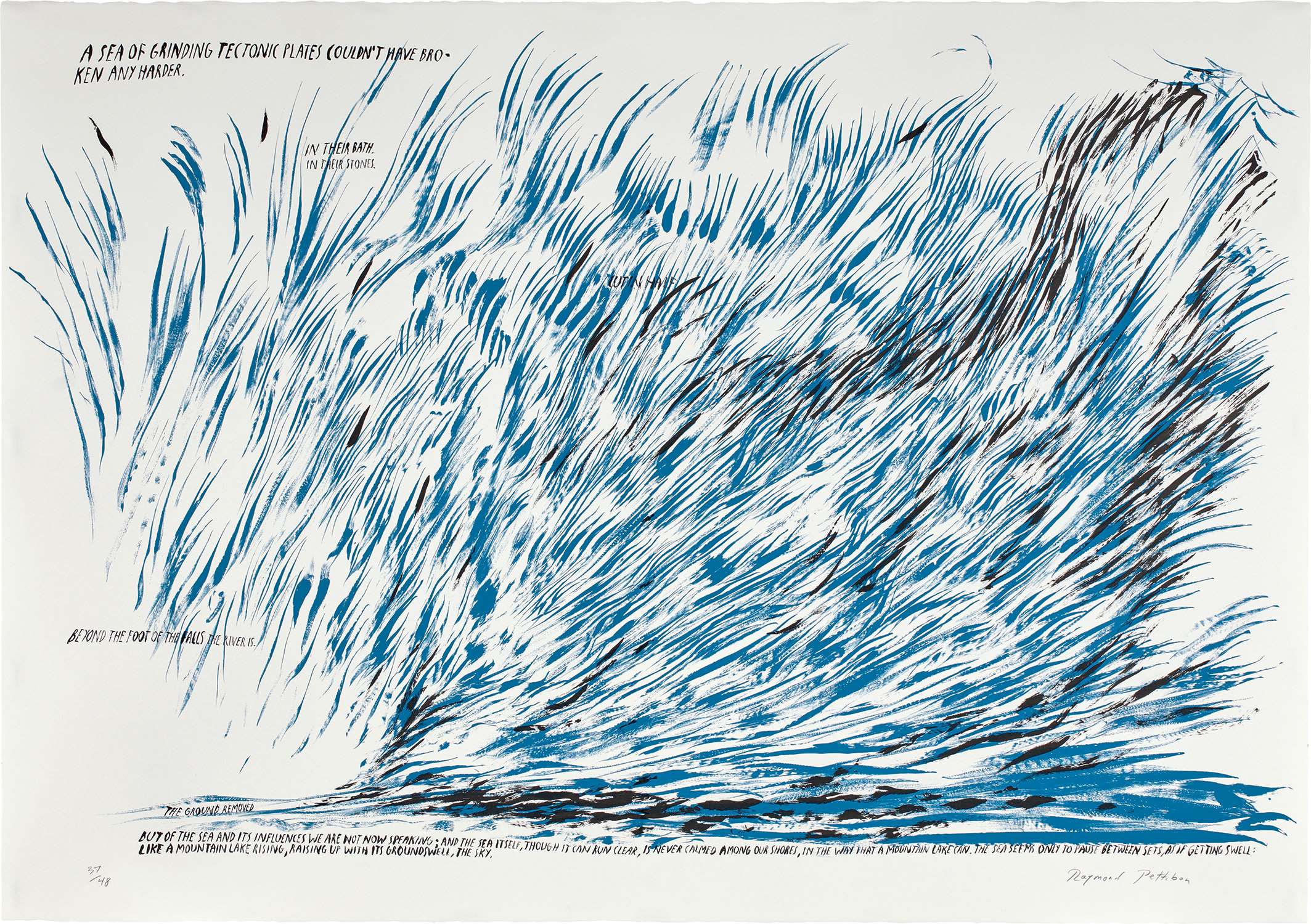 Raymond Pettibon Editions & Works on Paper