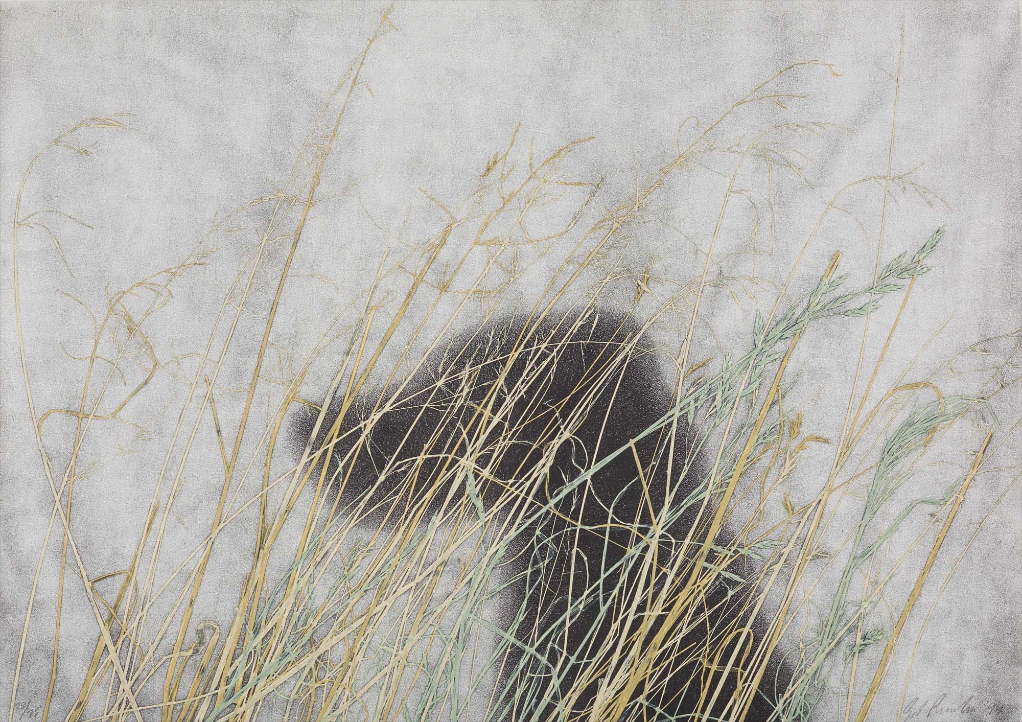 <b>ED RUSCHA</b> <i>Dog,</i> 1995