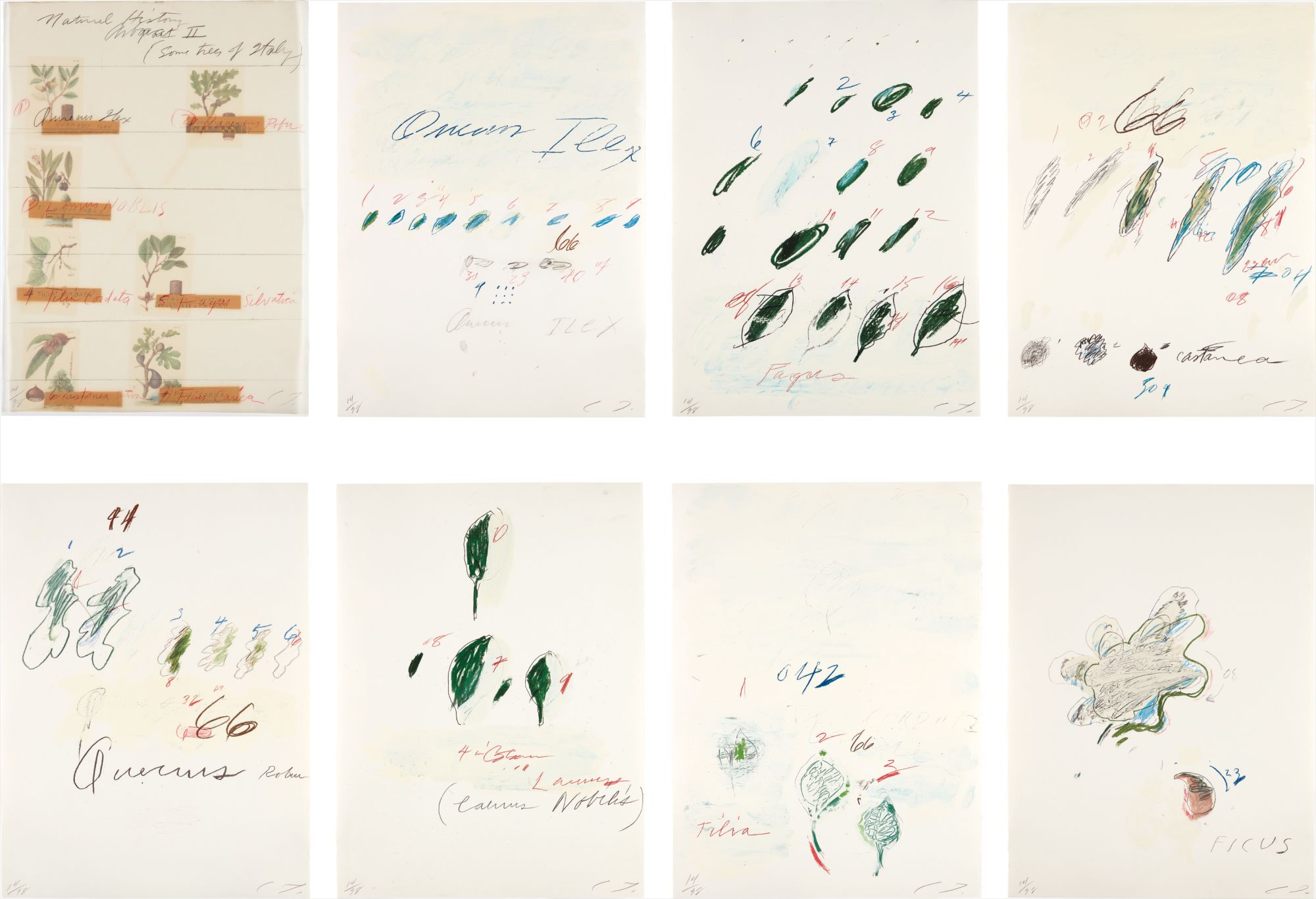 Cy Twombly 作品集 Amazon.co.jp: Cy Twombly catalogue raisonne of the paintings