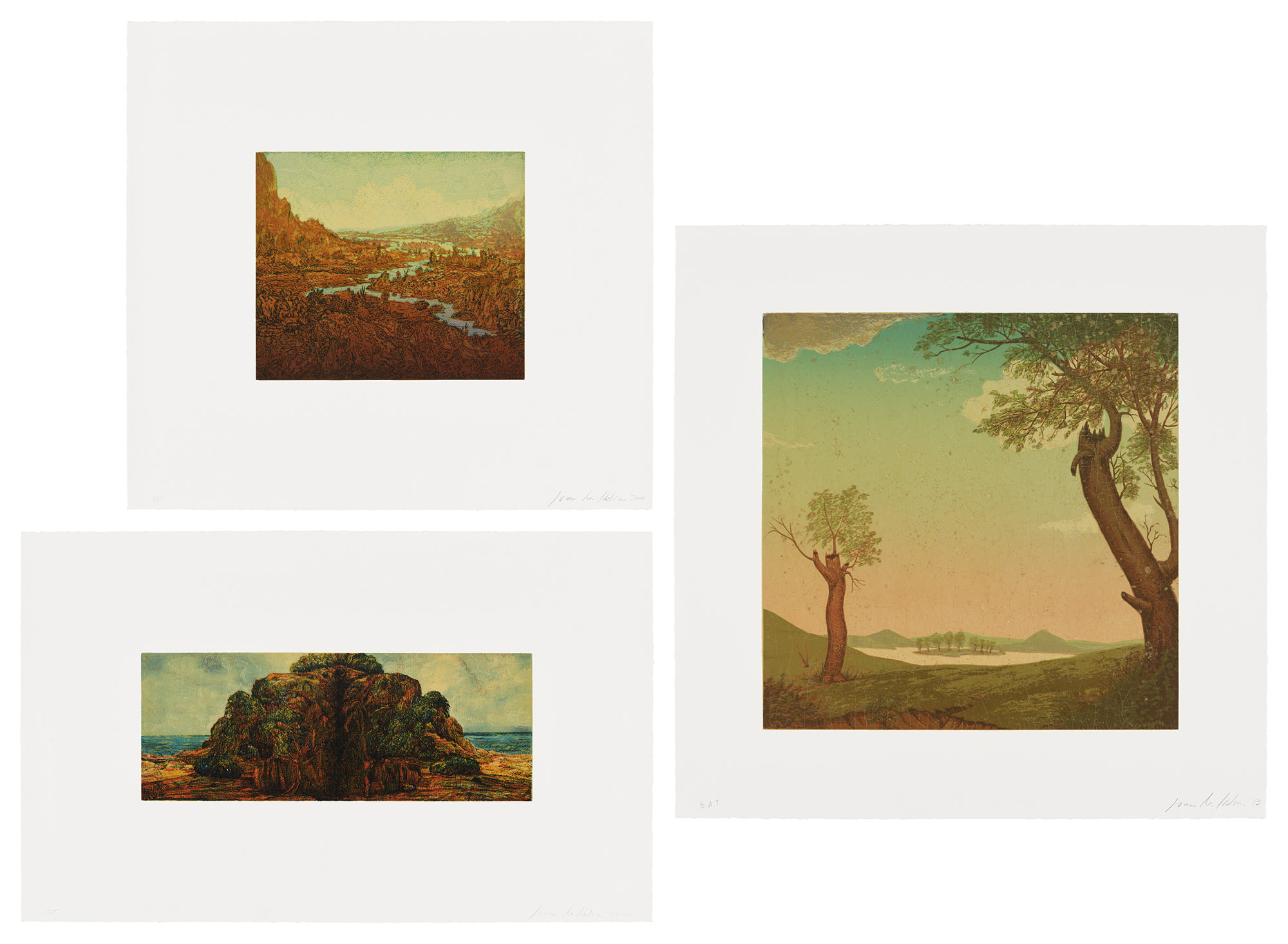 <p><strong>JOAN NELSON</strong> <em>Untitled (River); Untitled (Island); and Untitled (After Edward Hicks),</em> 1999-2000 &amp; 1993-1997</p>
