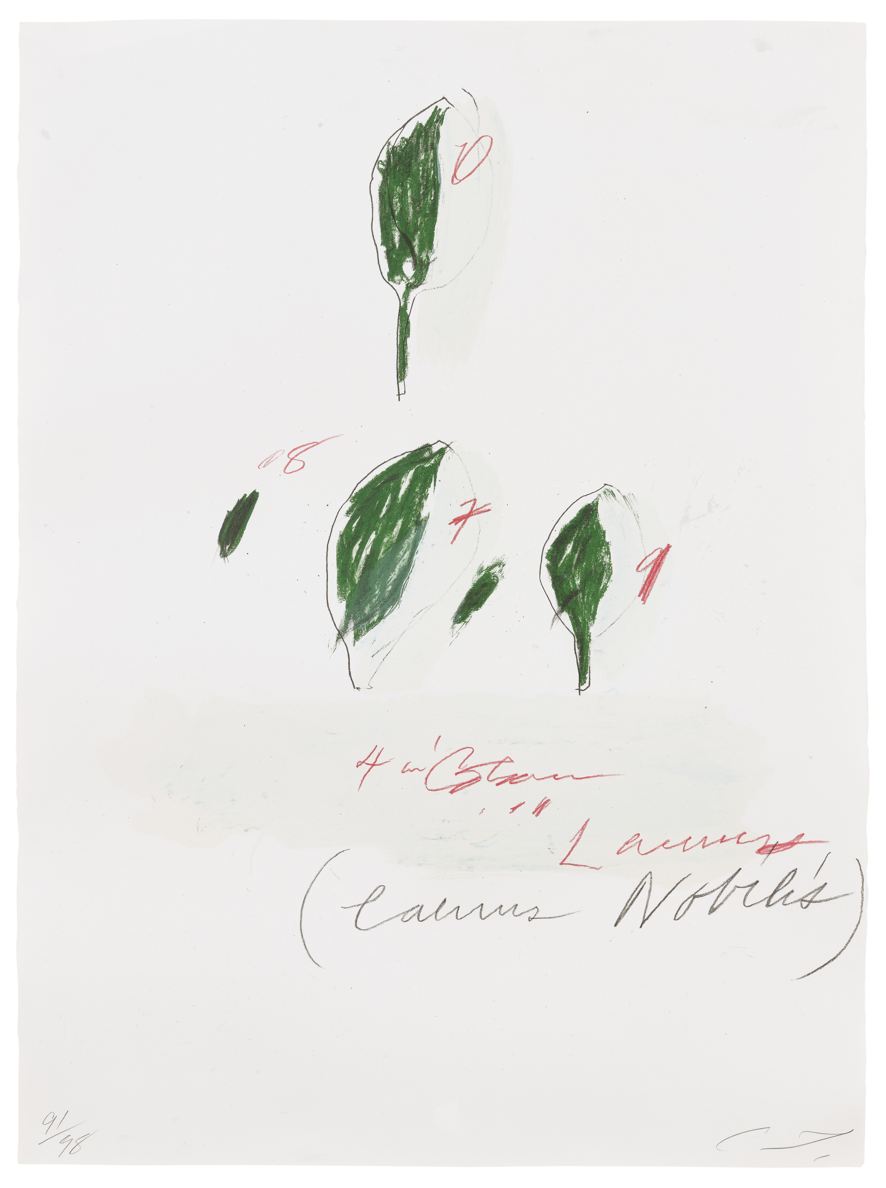 Lot 7