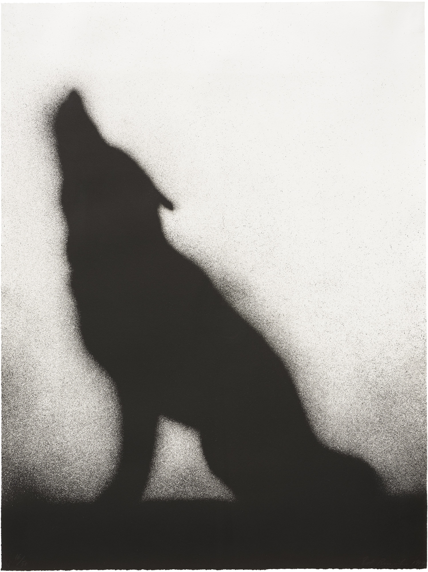 <p><strong>ED RUSCHA</strong> <em>Coyote, </em>1989</p>