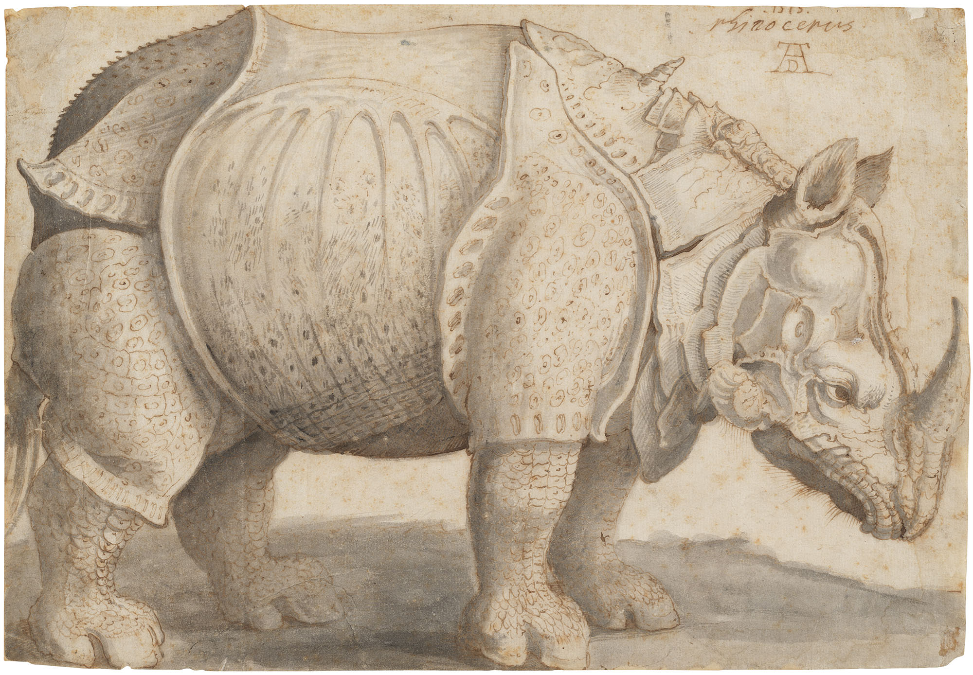 <p><strong>AFTER ALBRECHT DÜRER</strong> <em>Rhinoceros, </em>$20,000–30,000</p>