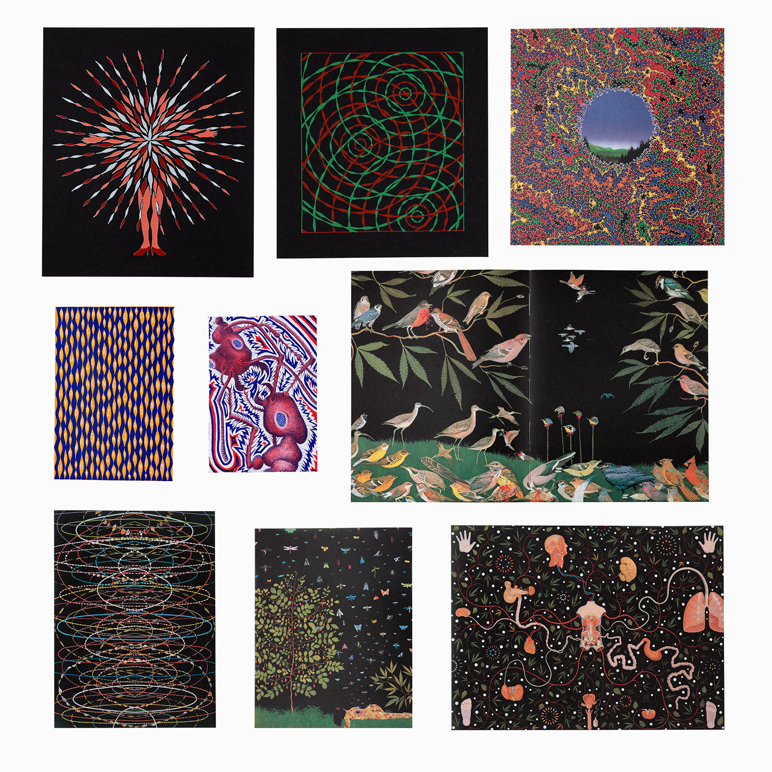 Fred Tomaselli Editions & Works on Paper: Online Auction
