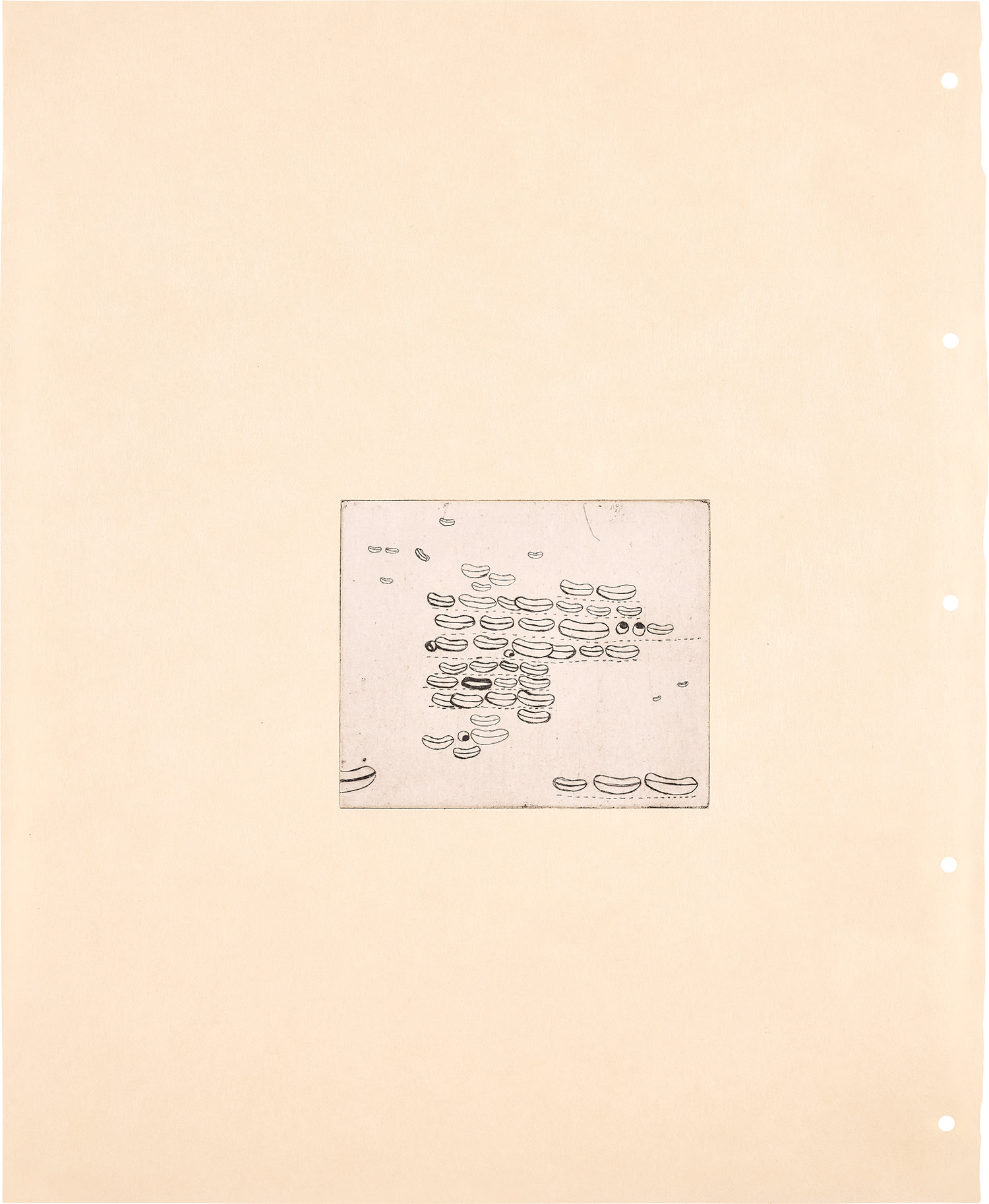 Lot 8