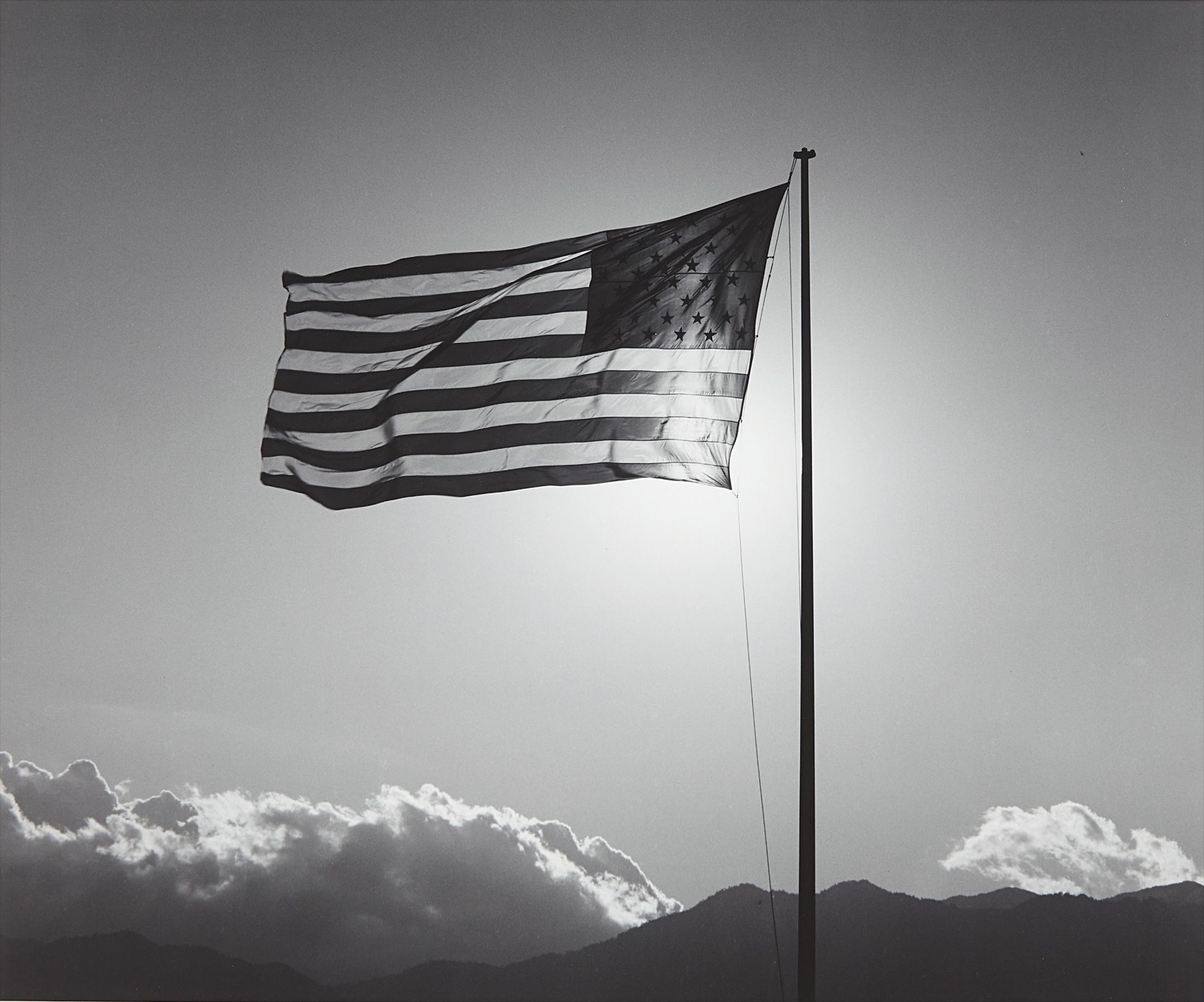 <b>ROBERT MAPPLETHORPE</b> <i>Flag,</i> 1987