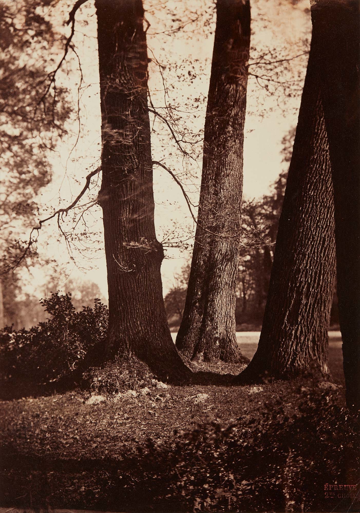 <b>GUSTAVE LE GRAY </b><i>Troncs d'Arbres,</i> circa 1855