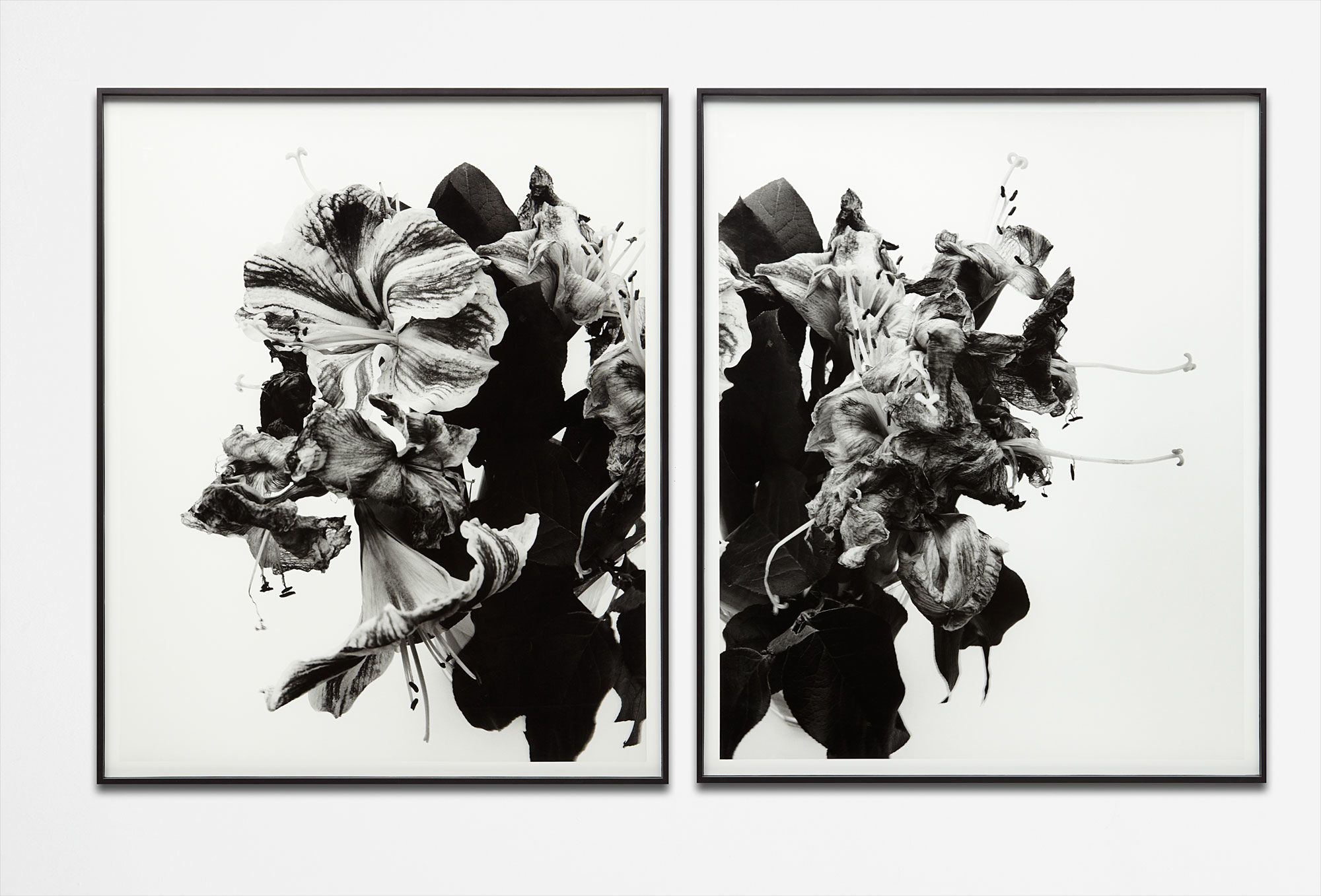 <b>NOBUYOSHI ARAKI</b> <i>From Close to Range</i>, 1991