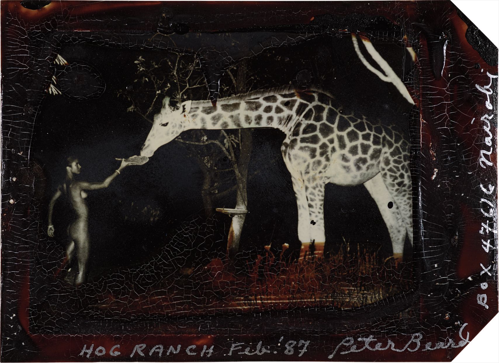 Brought to you by Phillips