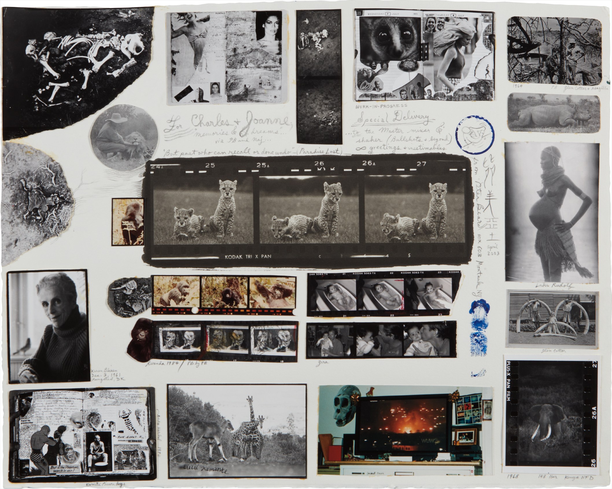 Brought to you by Phillips