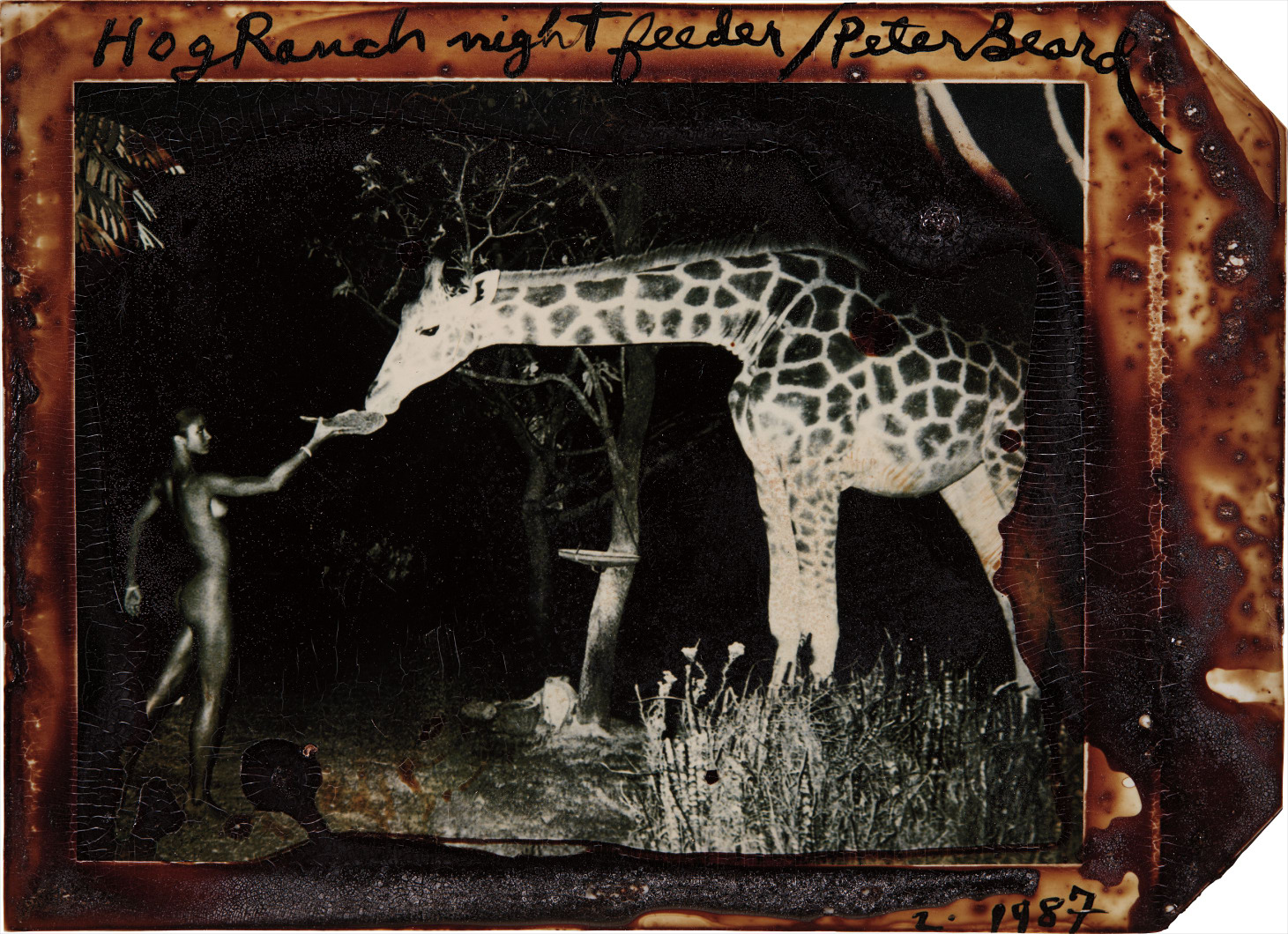 Brought to you by Phillips