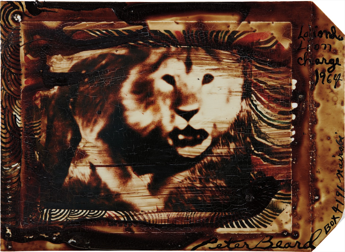 Brought to you by Phillips