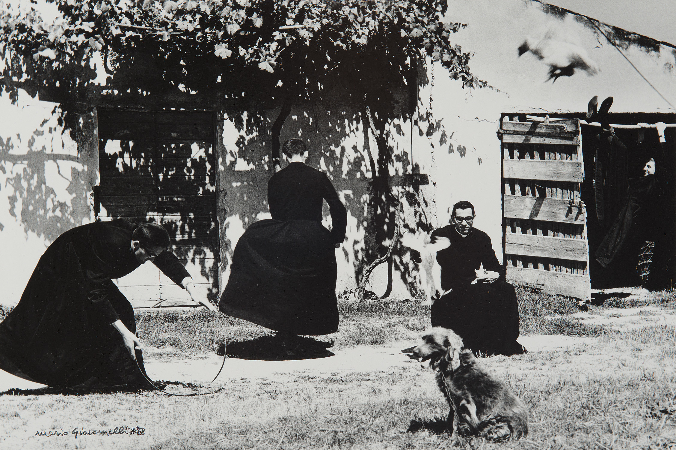 Brought to you by Phillips